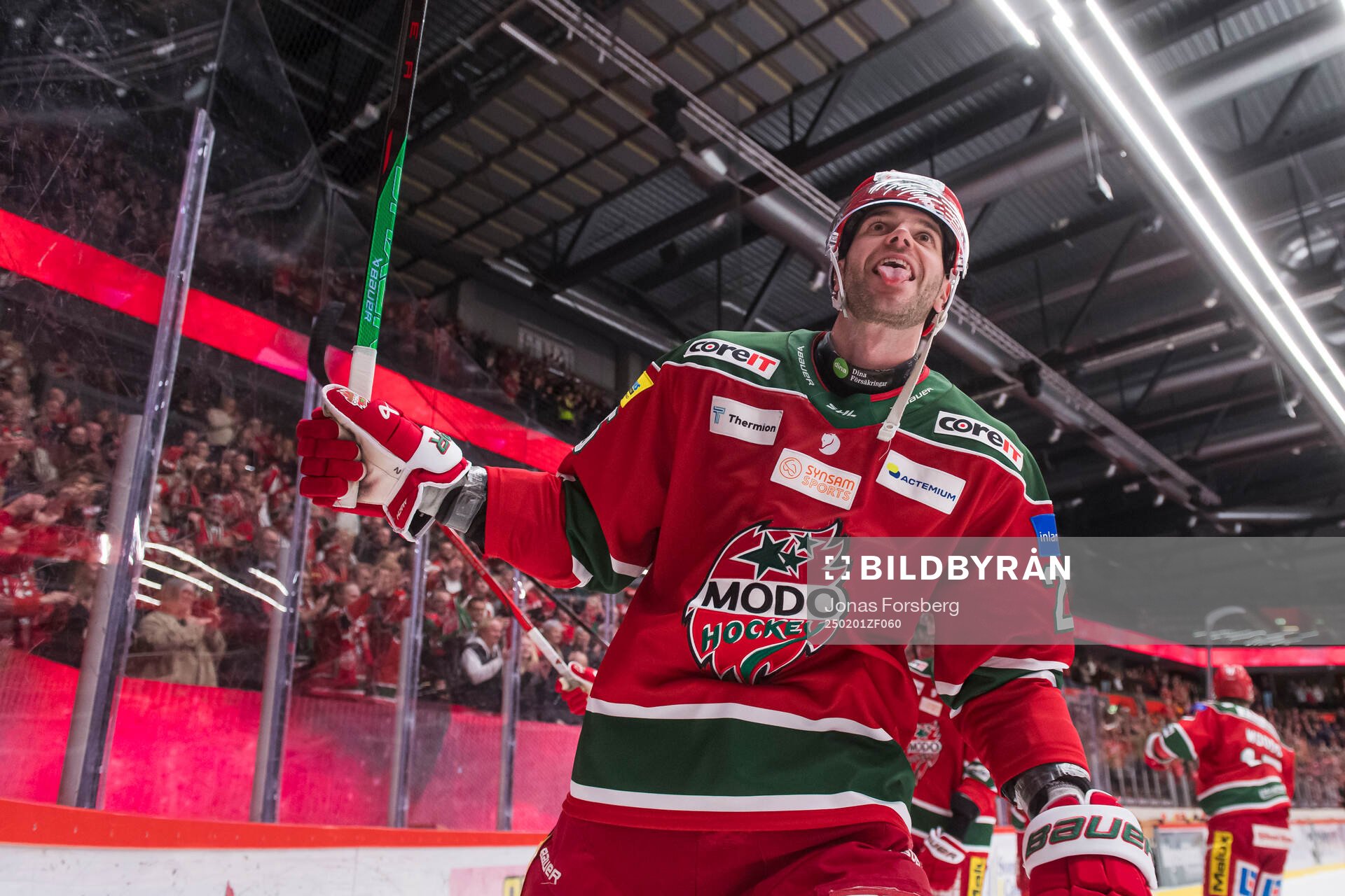 Modos Sam Vigneault