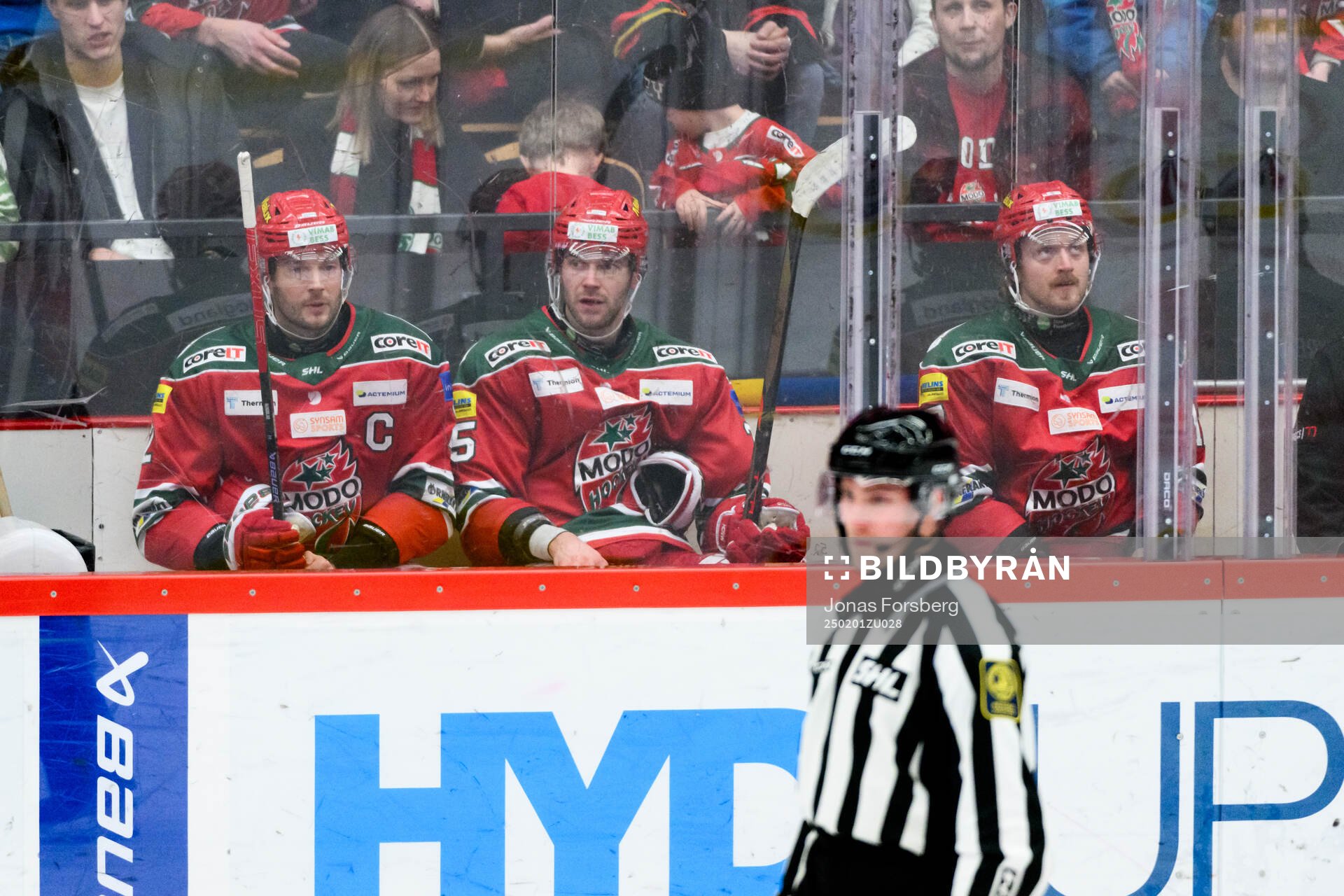 Modos David Rundblad, Sam Vigneault och Riley Woods i
