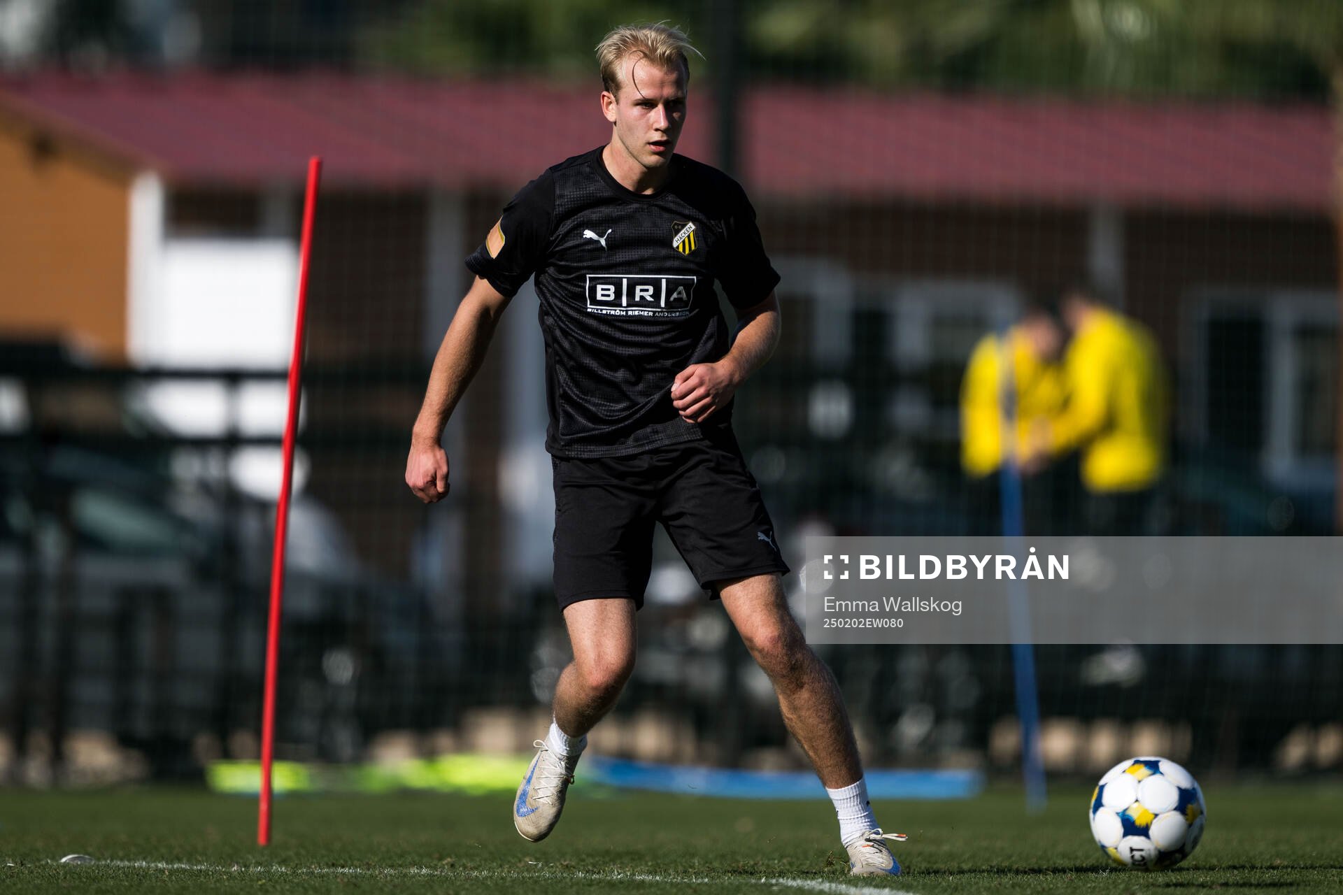 Häckens Harry Hilvenius