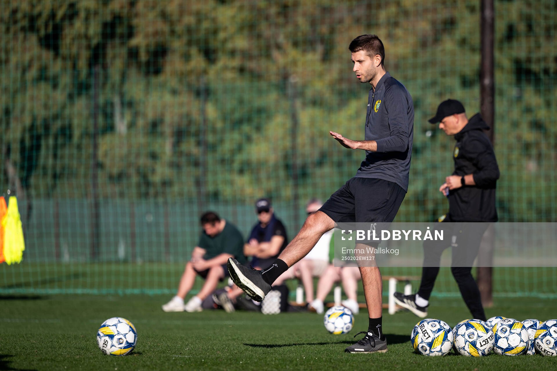 Hammarbys assisterande tränare David Selini