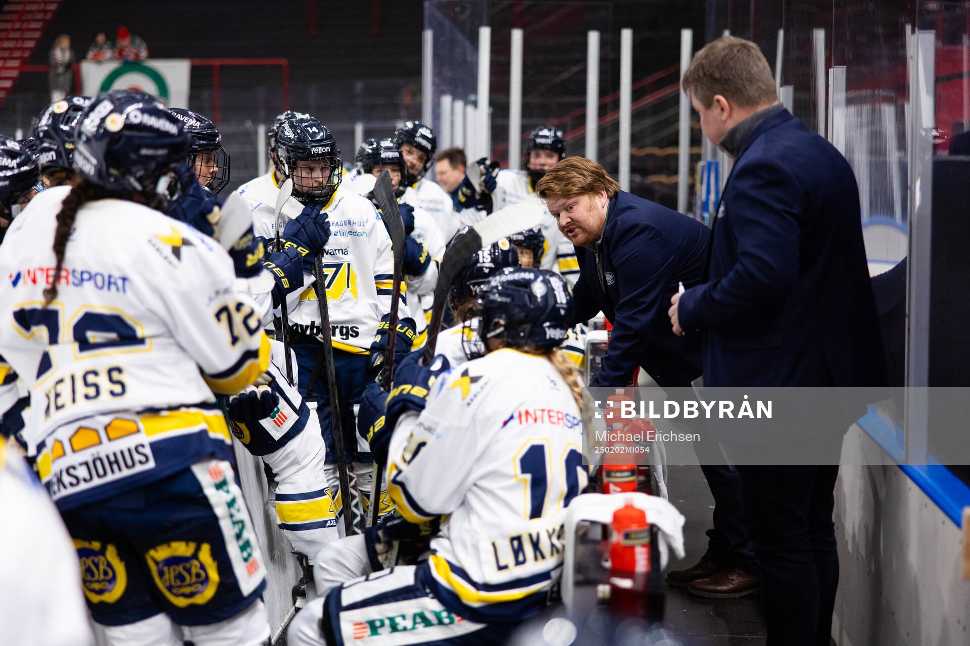 HV71s tränare Thomas Pettersen