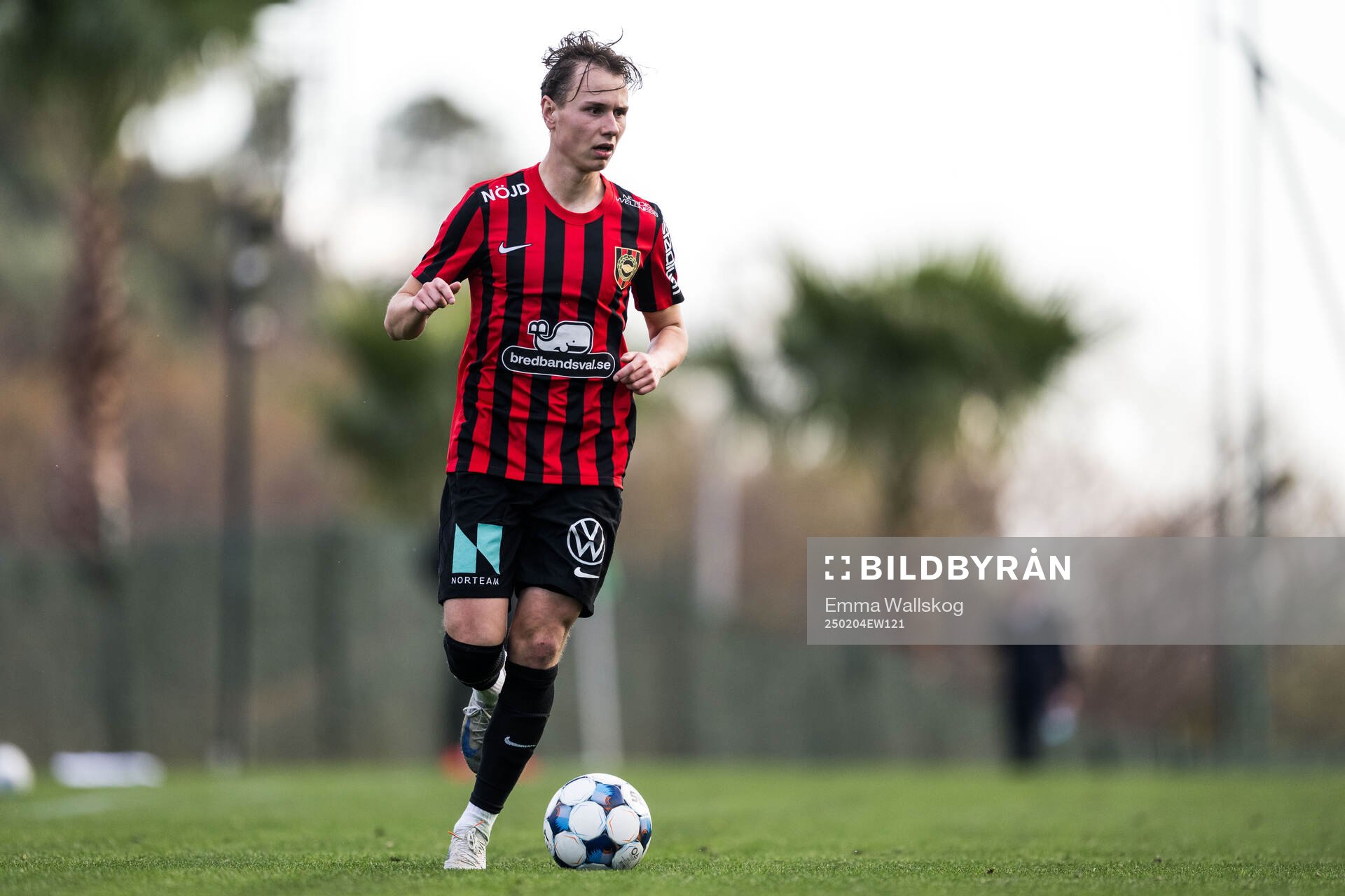 Alex Timossi Andersson of Brommapojkarna