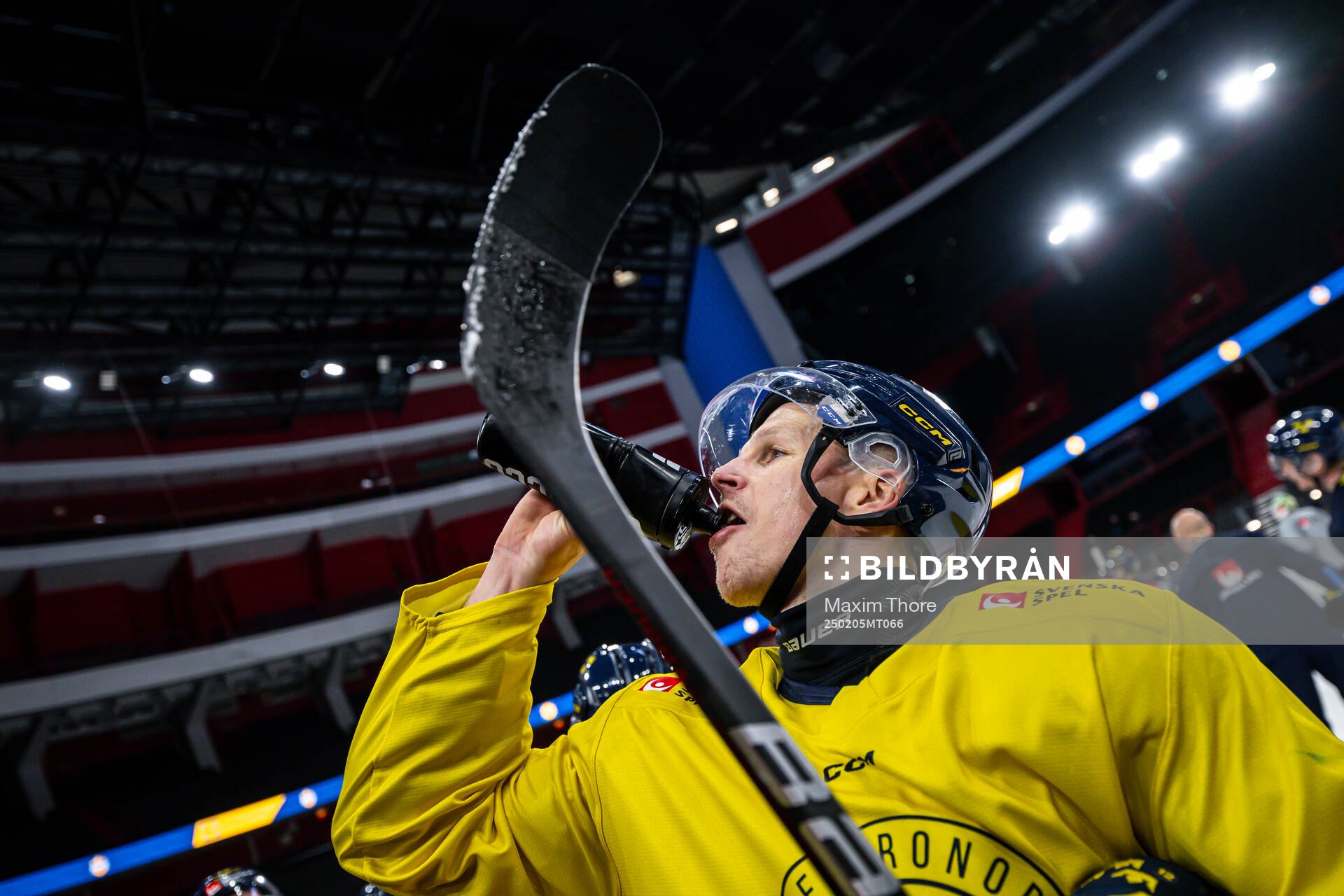Max Friberg of the Swedish national ice hockey team at a