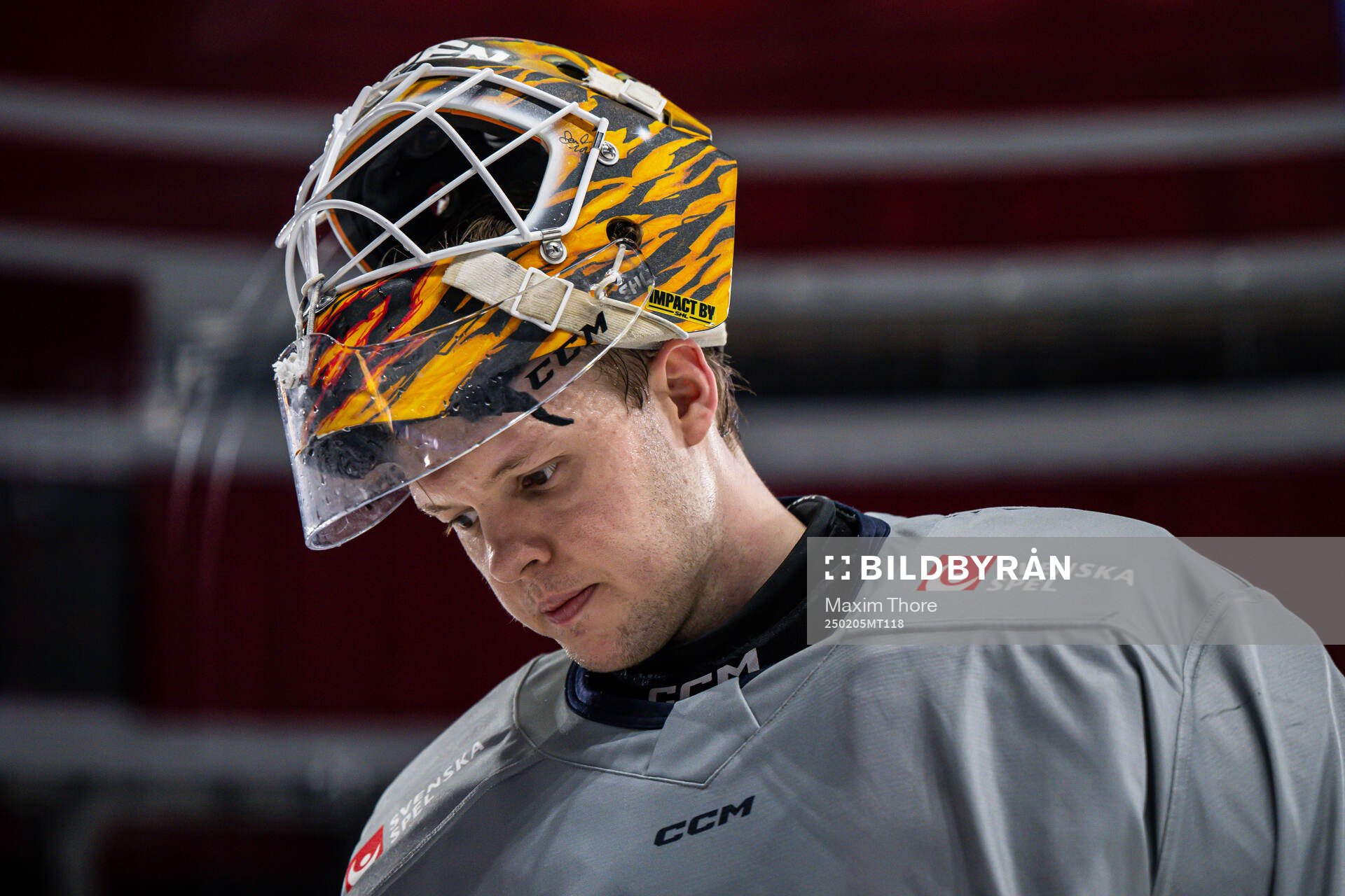 Goaltender Linus Söderström of the Swedish national ice