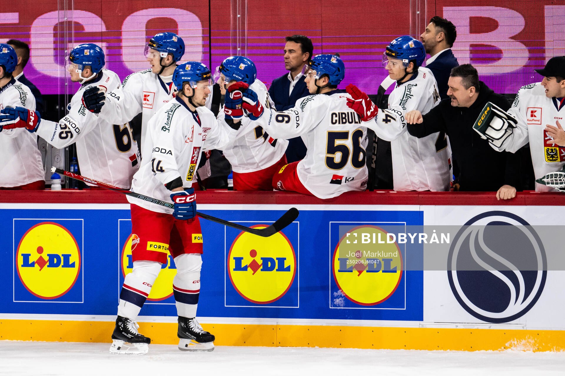 Filip Chlapik of Czech Republic celebrates