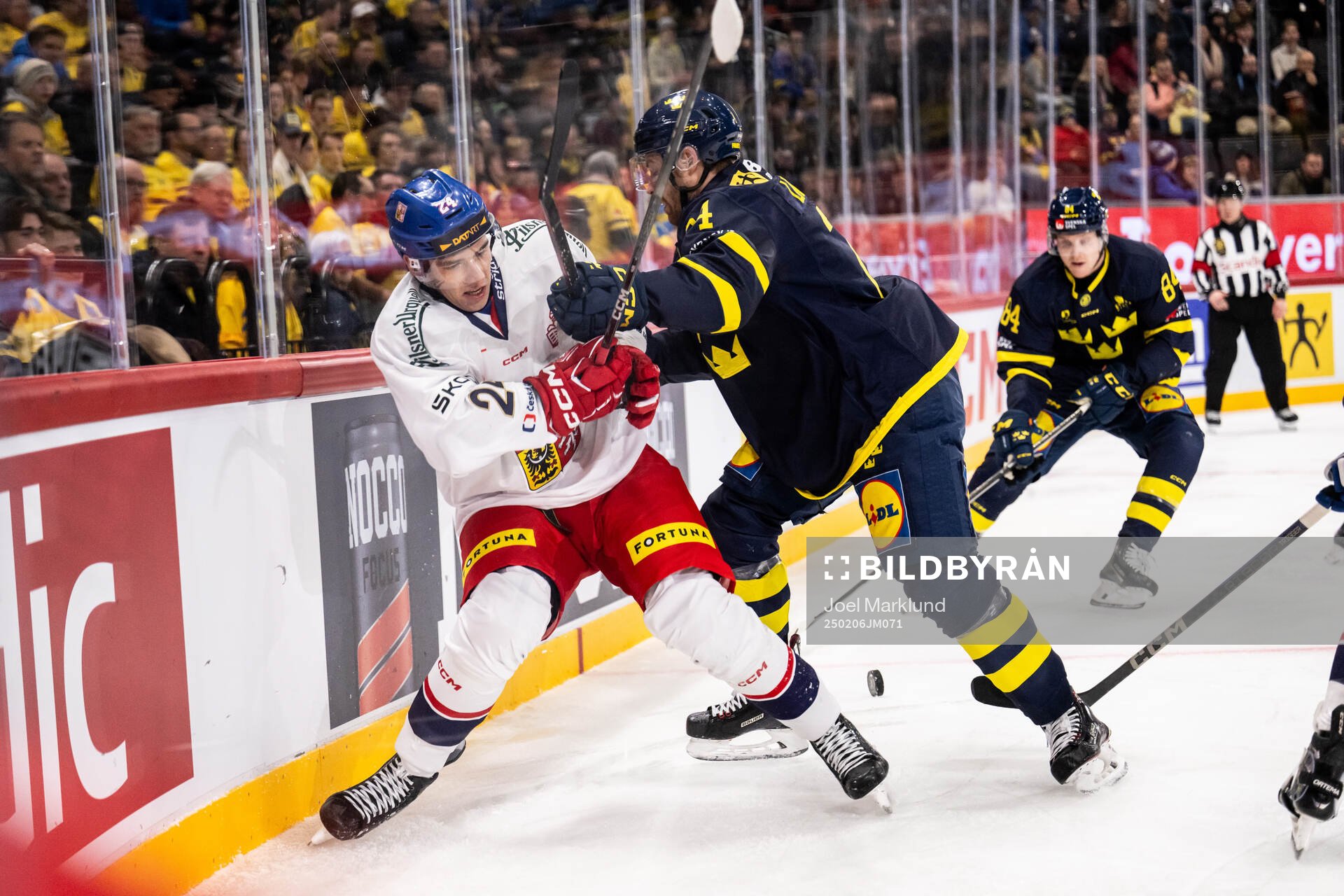 Libor Hajek of Czech Republic and Oscar Lindberg of Sweden
