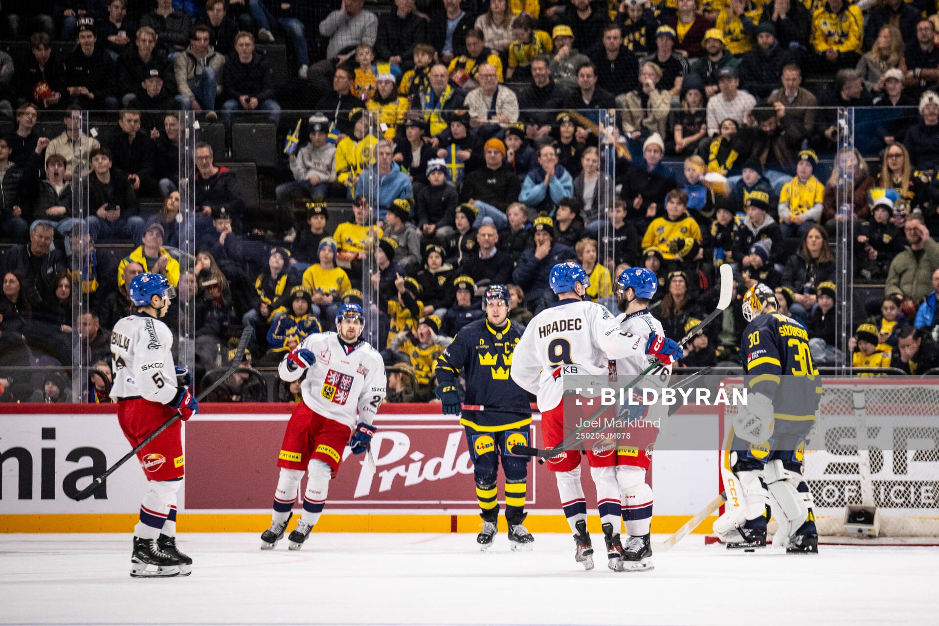 Jakub Zboril of Czech Republic celebrate with teammates