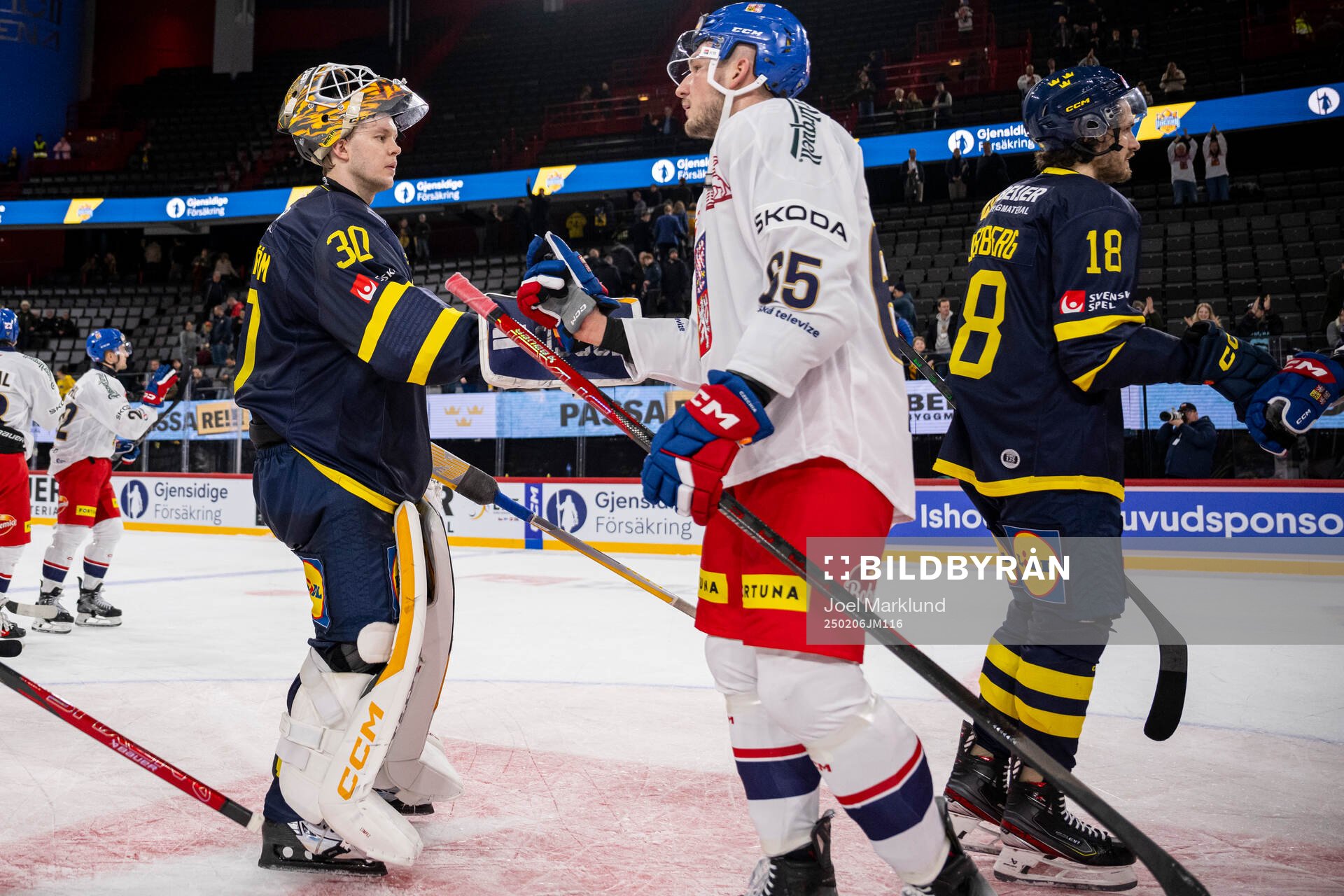 Goaltender Linus Söderström and Dennis Everberg of Sweden