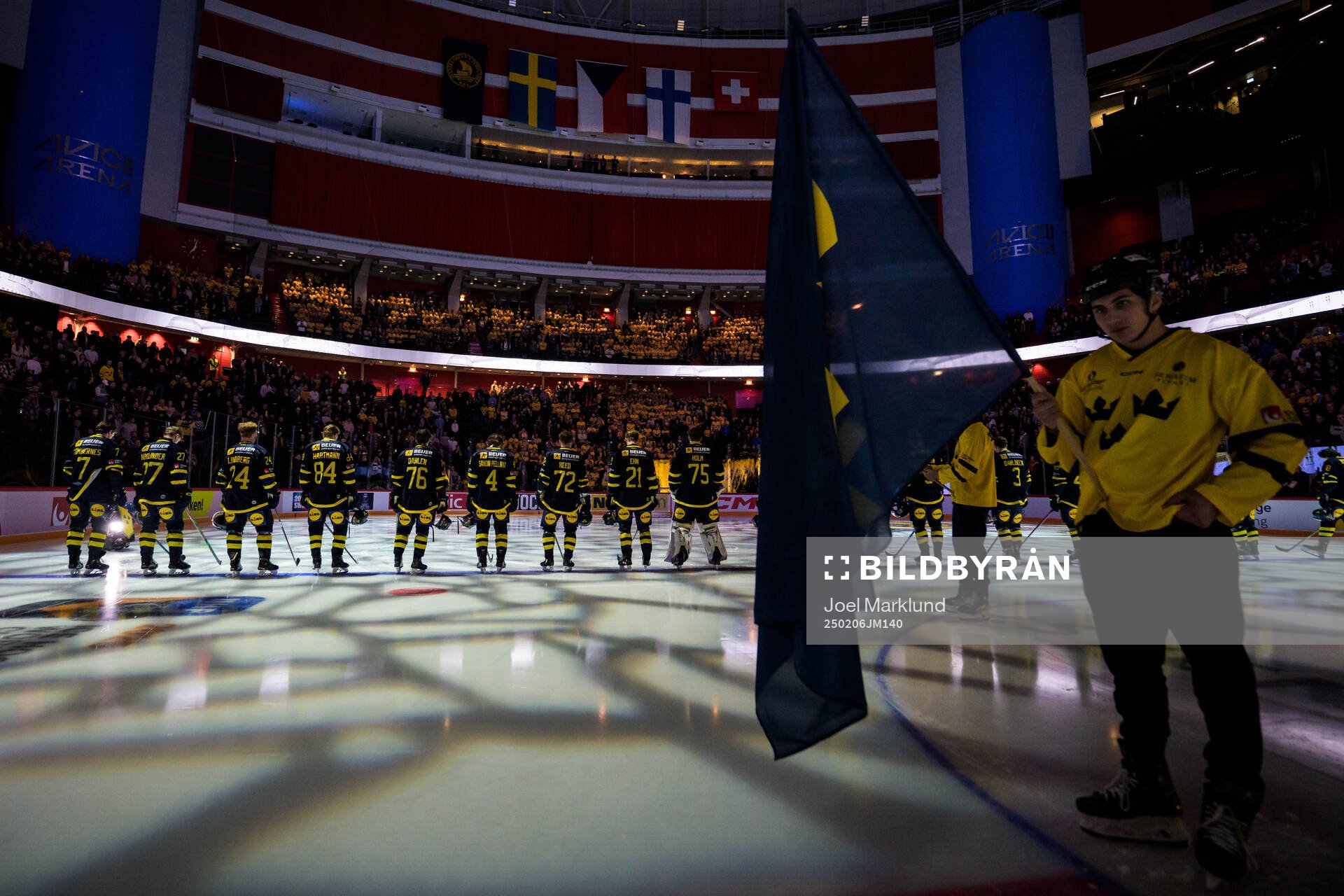 Players of Sweden
