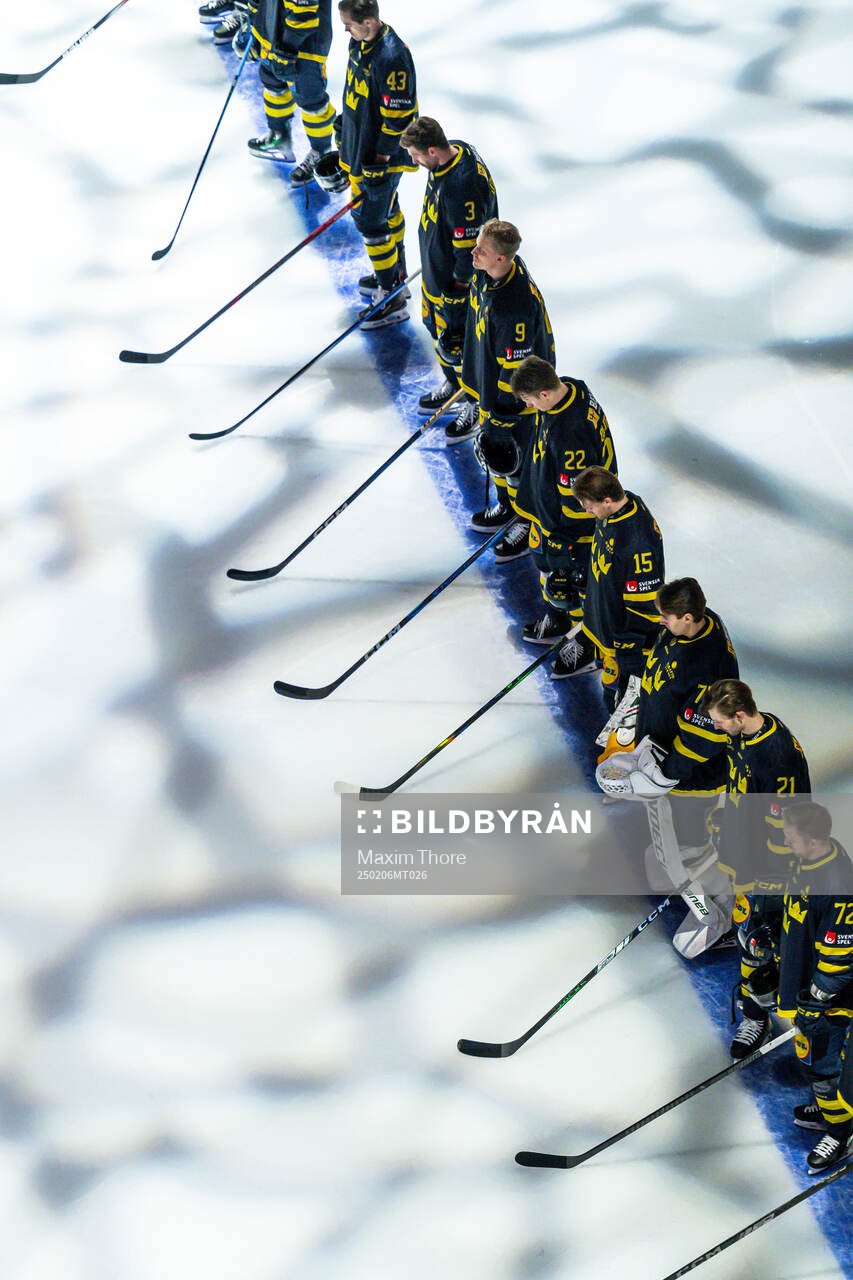 The players of Sweden