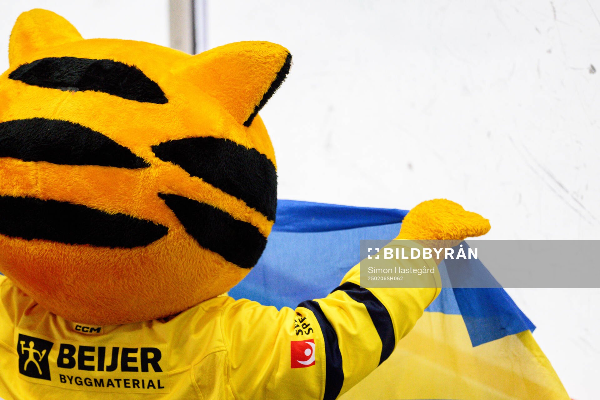 A mascot