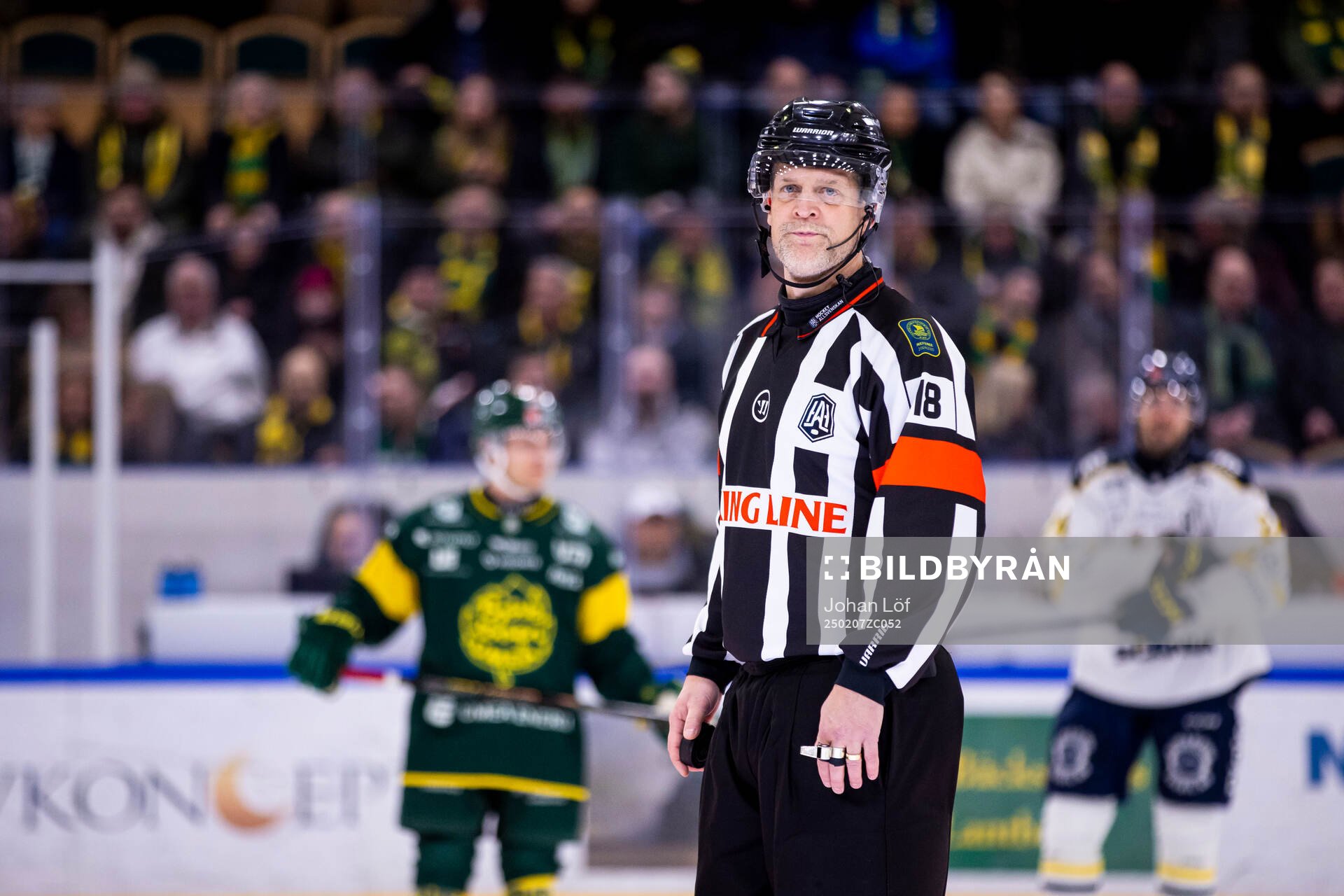 Huvuddomare Mikael Nord