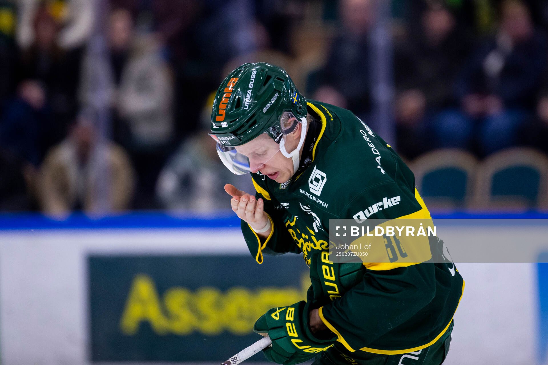 Björklövens Daniel Viksten