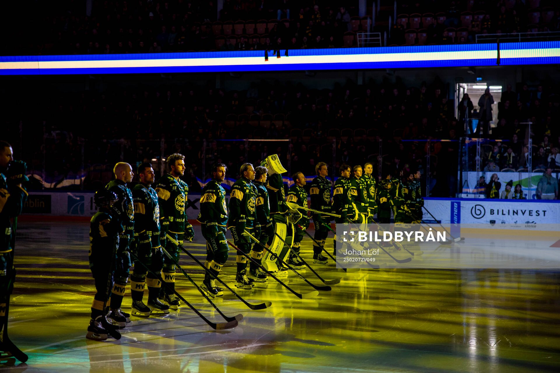 Björklöven