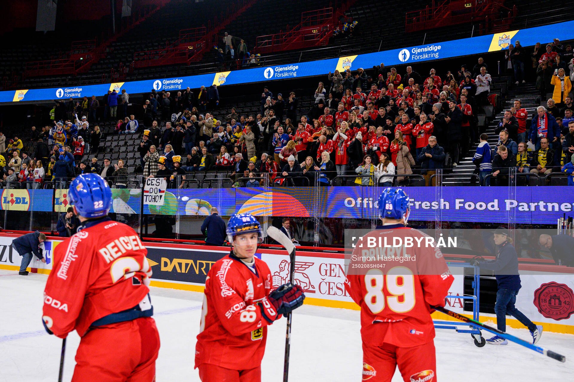 Fans of Czech Republic