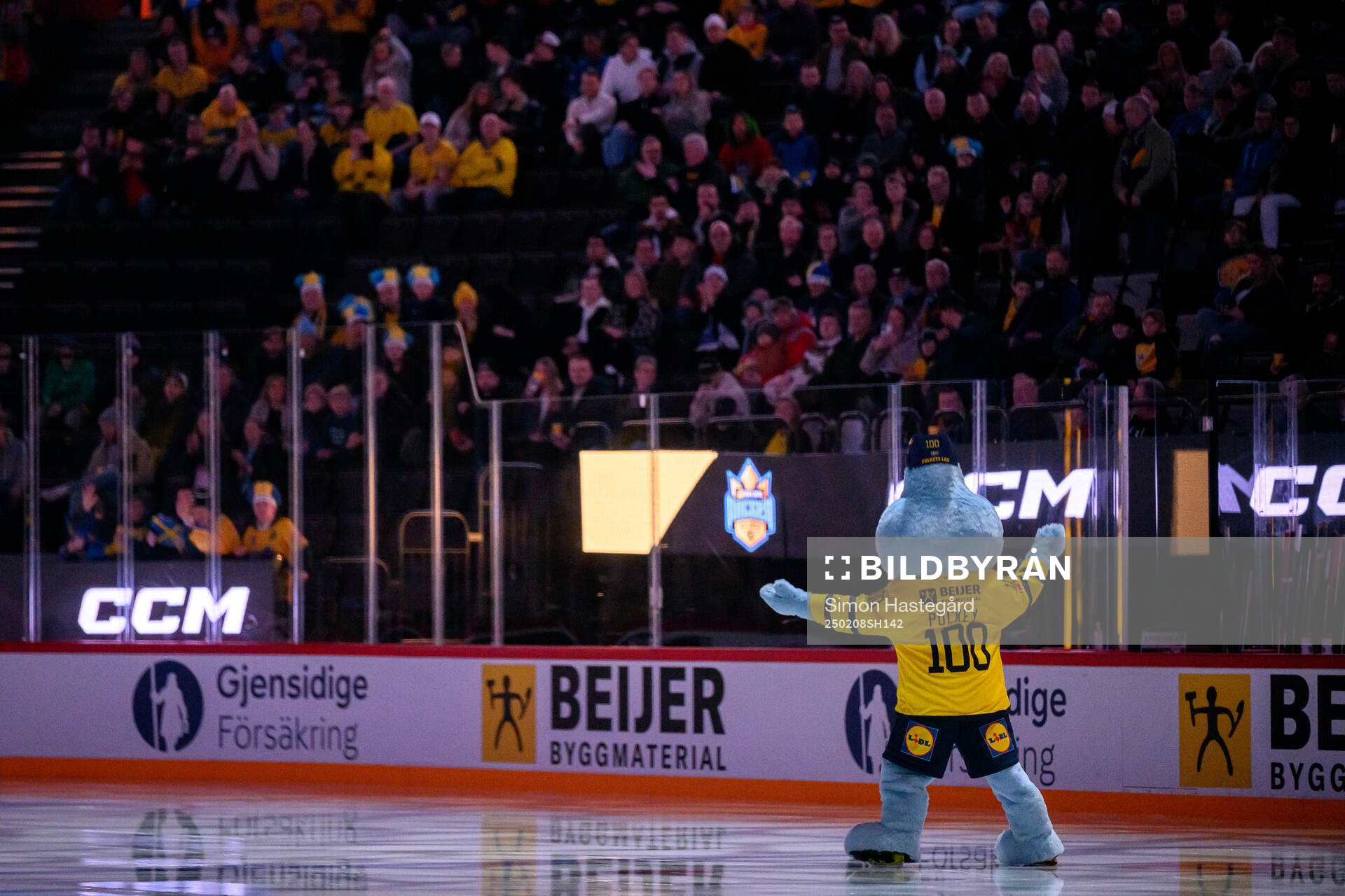 Puckey the Mascot