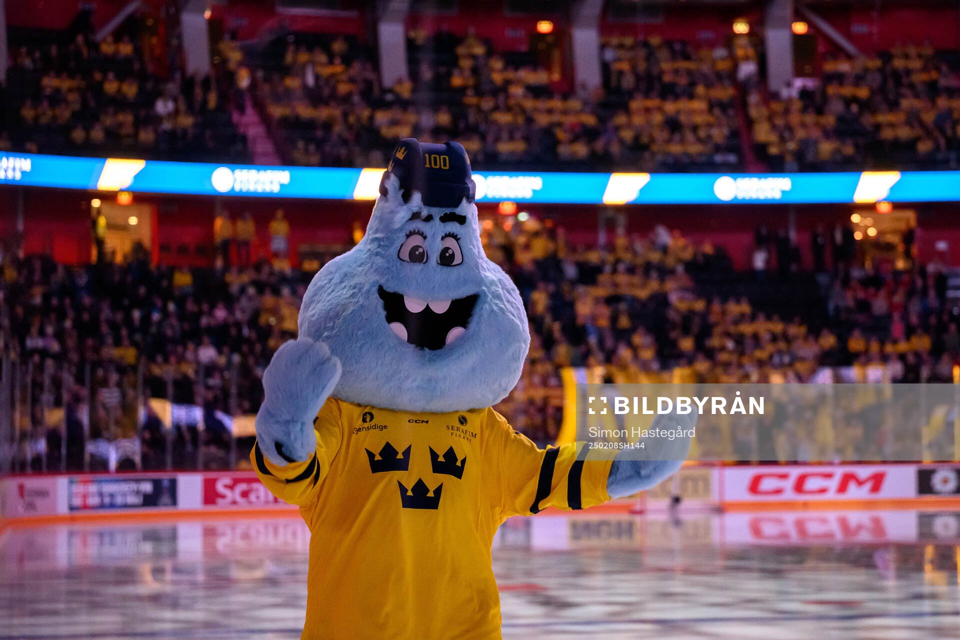 Puckey the Mascot