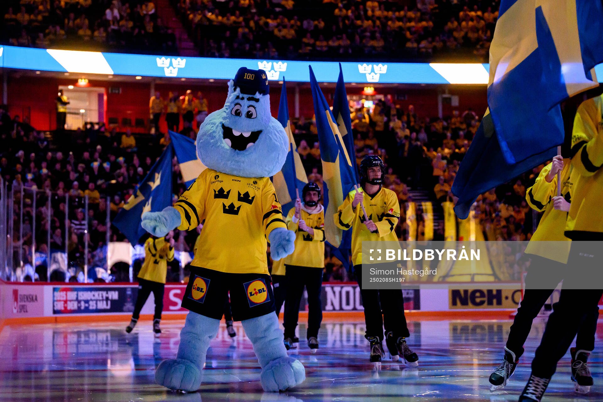 Puckey the Mascot