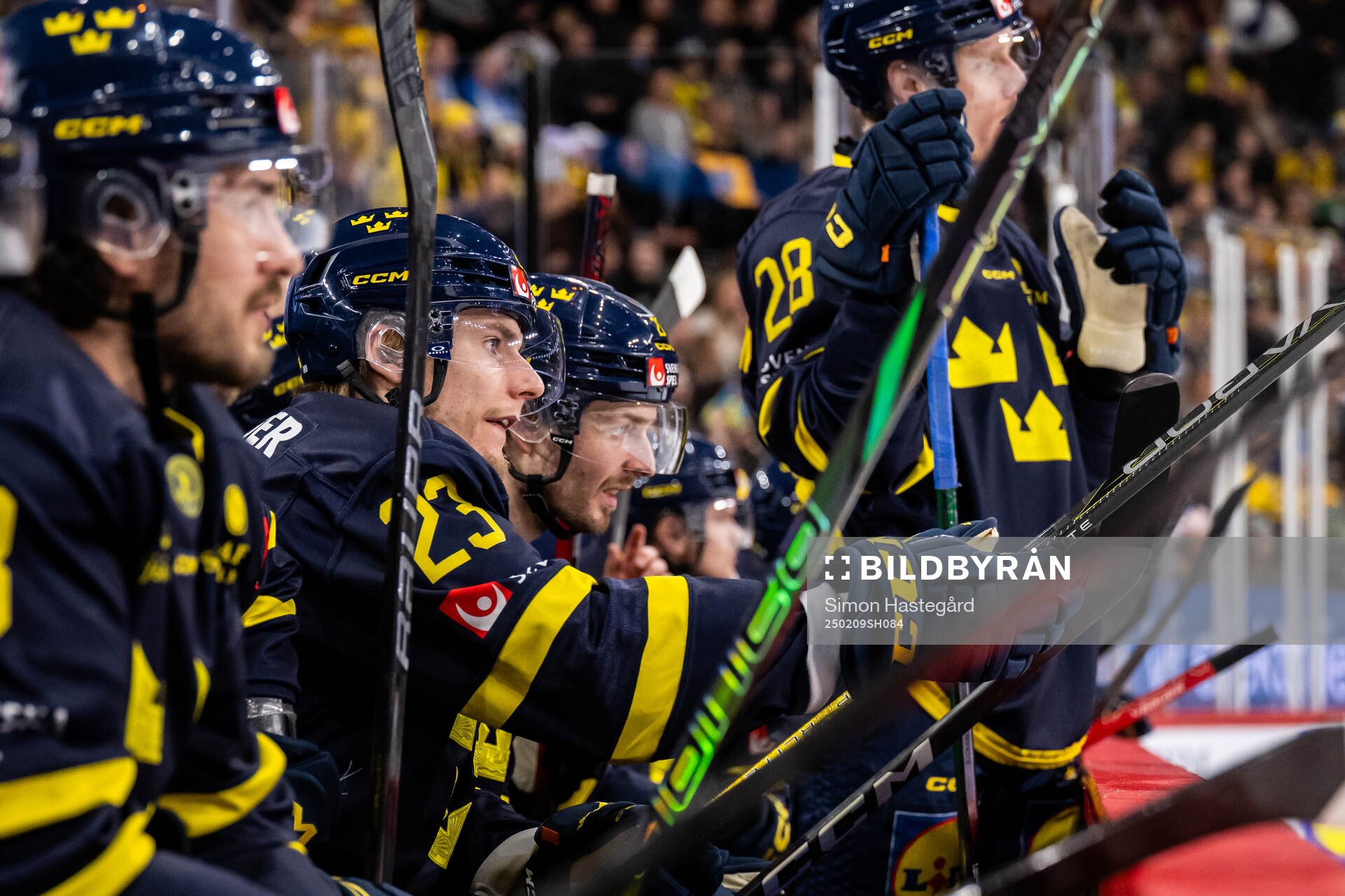 Lias Andersson of Sweden
