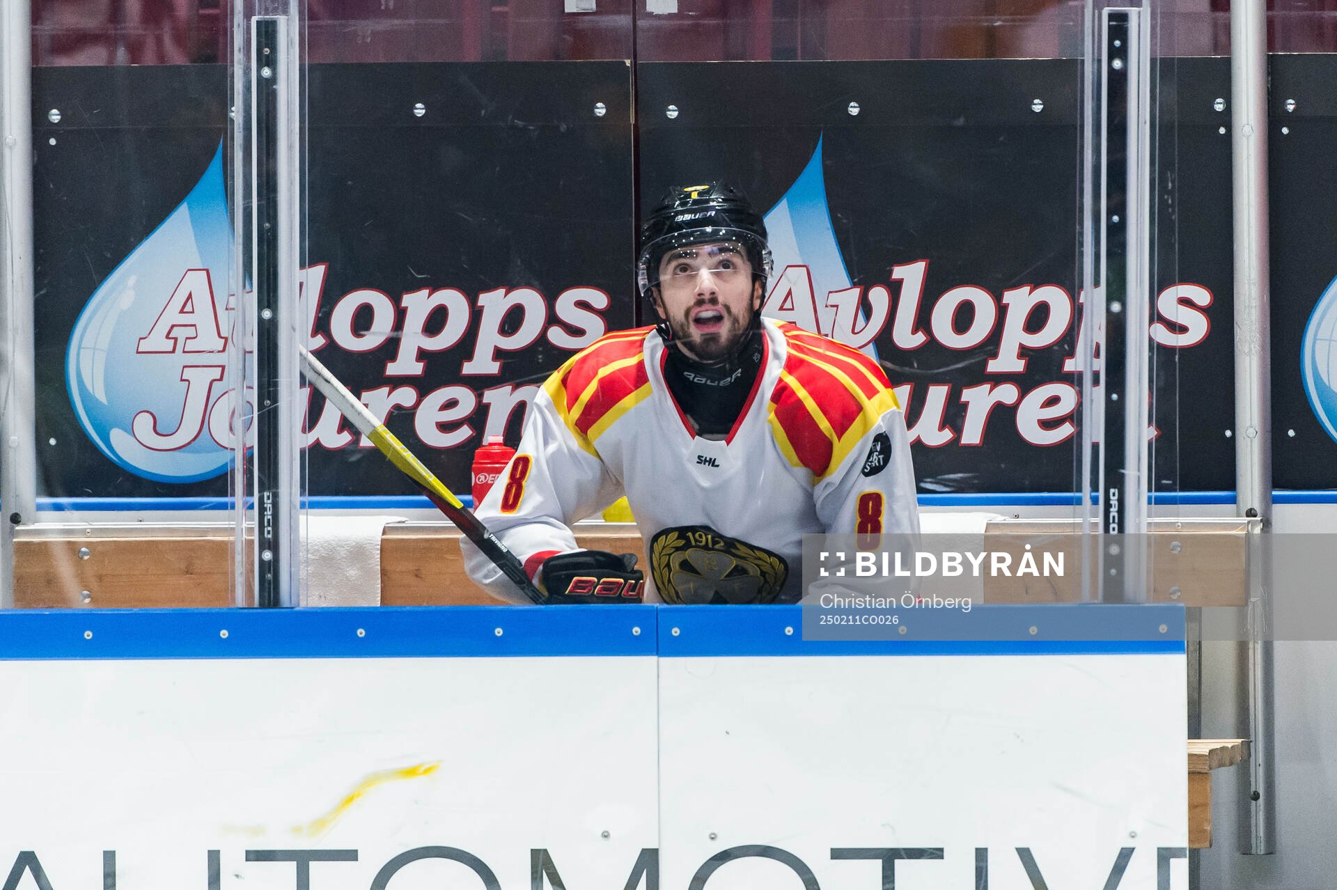 Brynäs Bobby Trivigno