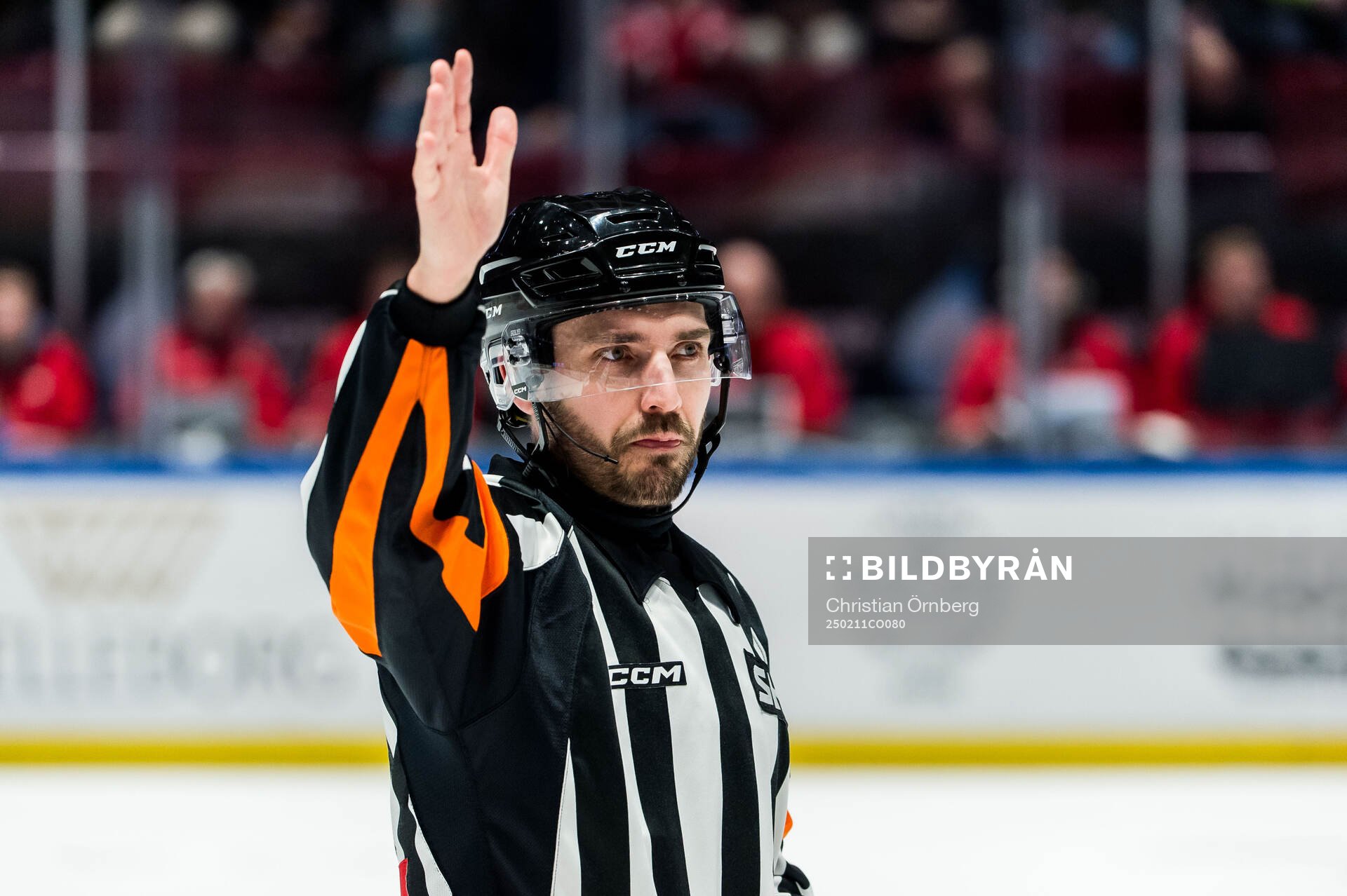 Domare Mattias Enroth