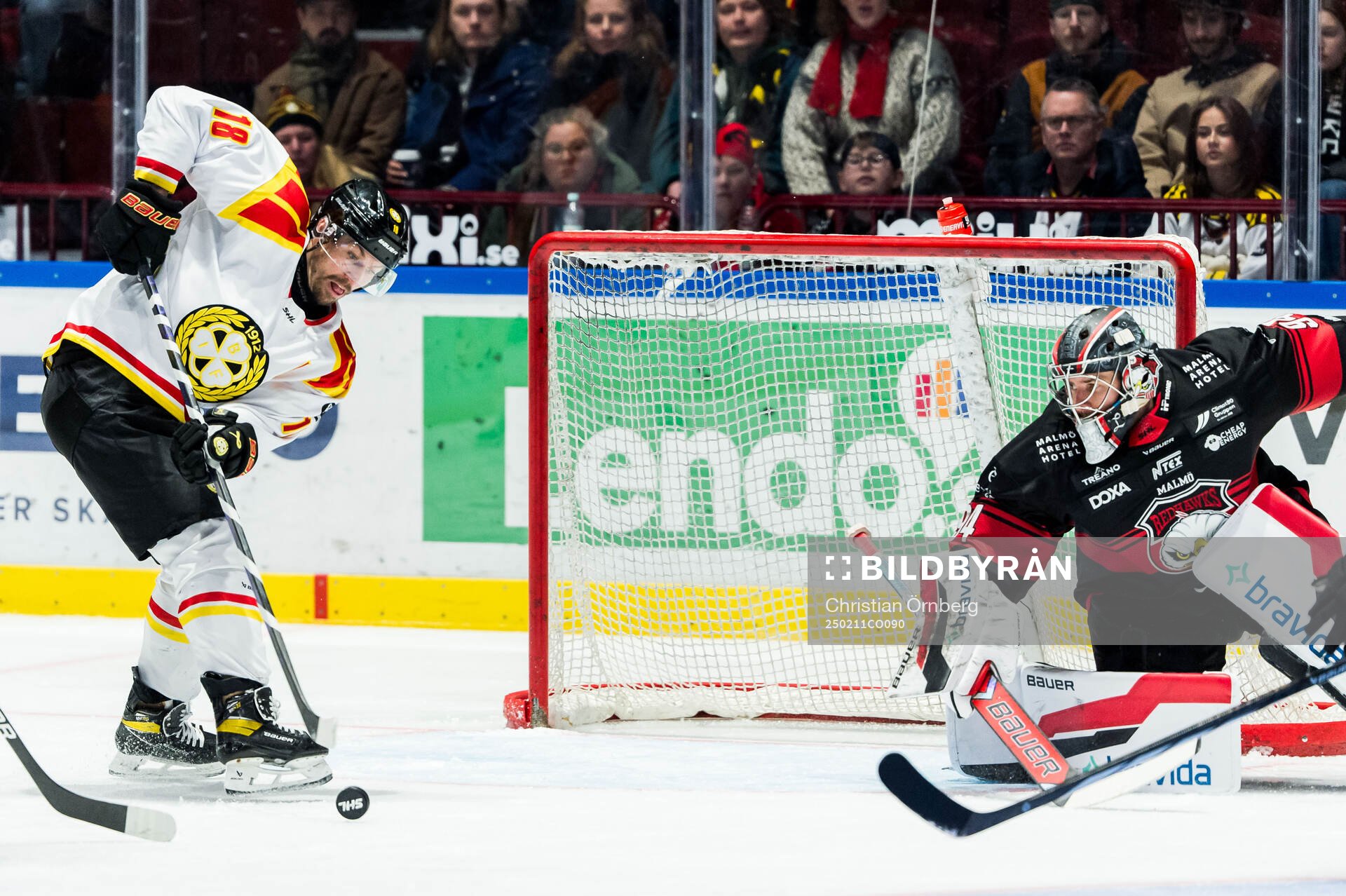 Brynäs Anton Rödin och Malmö Redhawks målvakt Marek