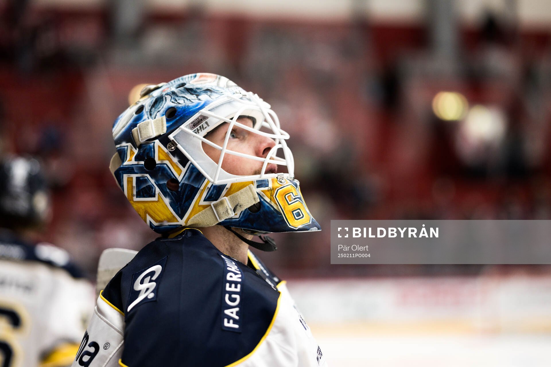 HV71s målvakt Hugo Alnefelt