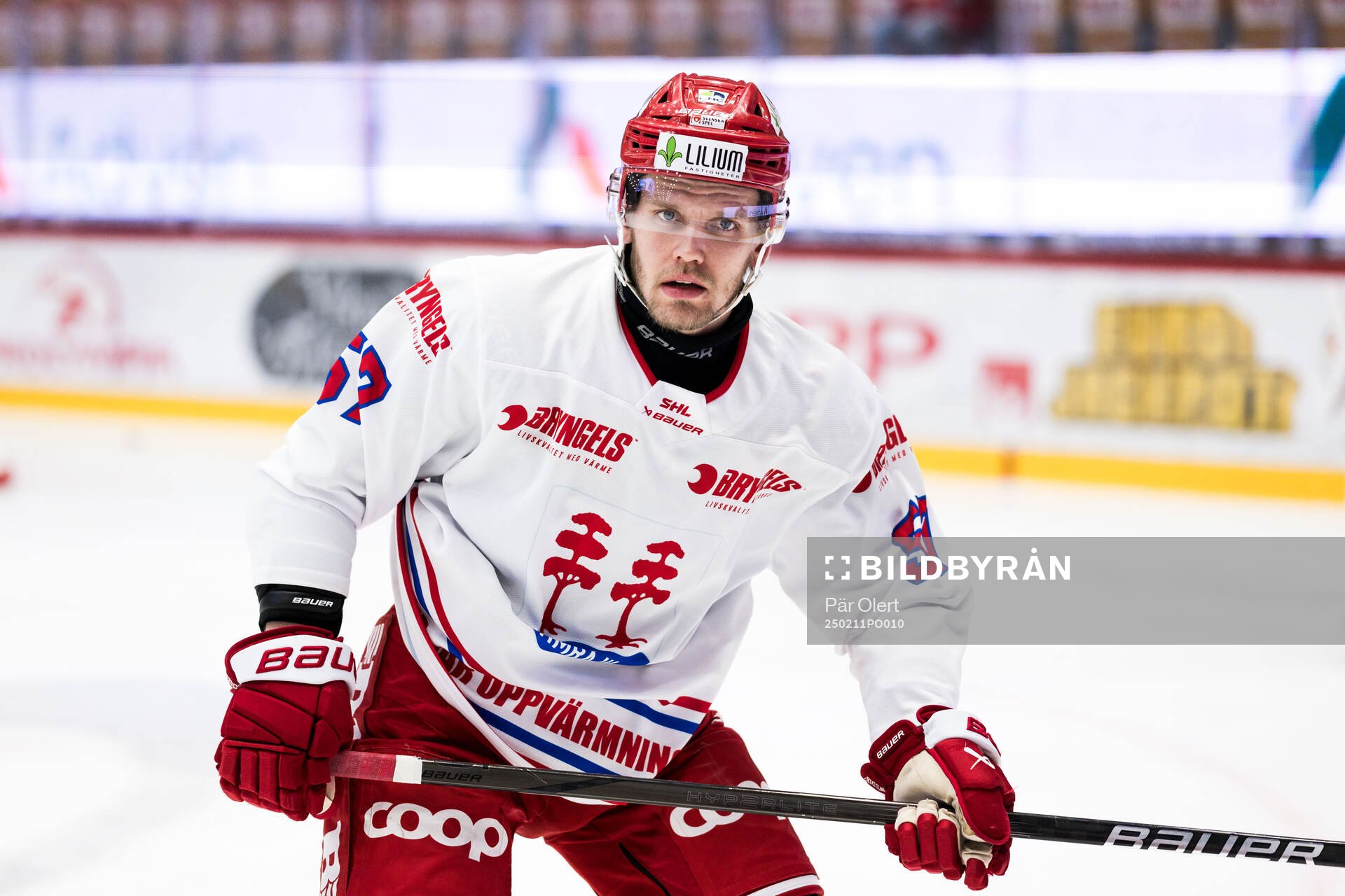 Timrås Anton Wedin