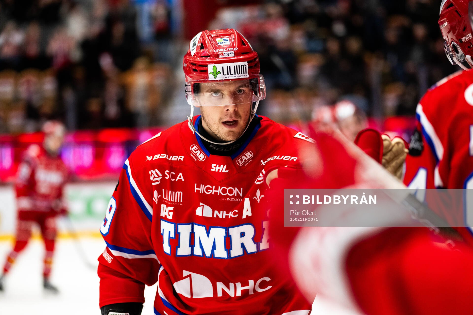 Timrås Filip Hållander jublar