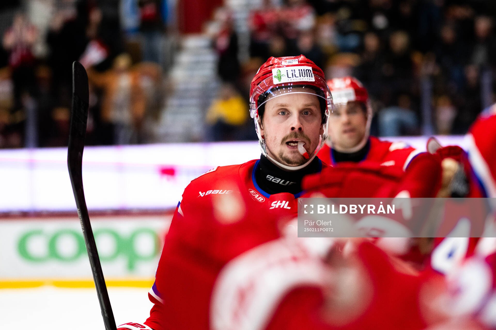 Timrås Jonathan Dahlén jublar