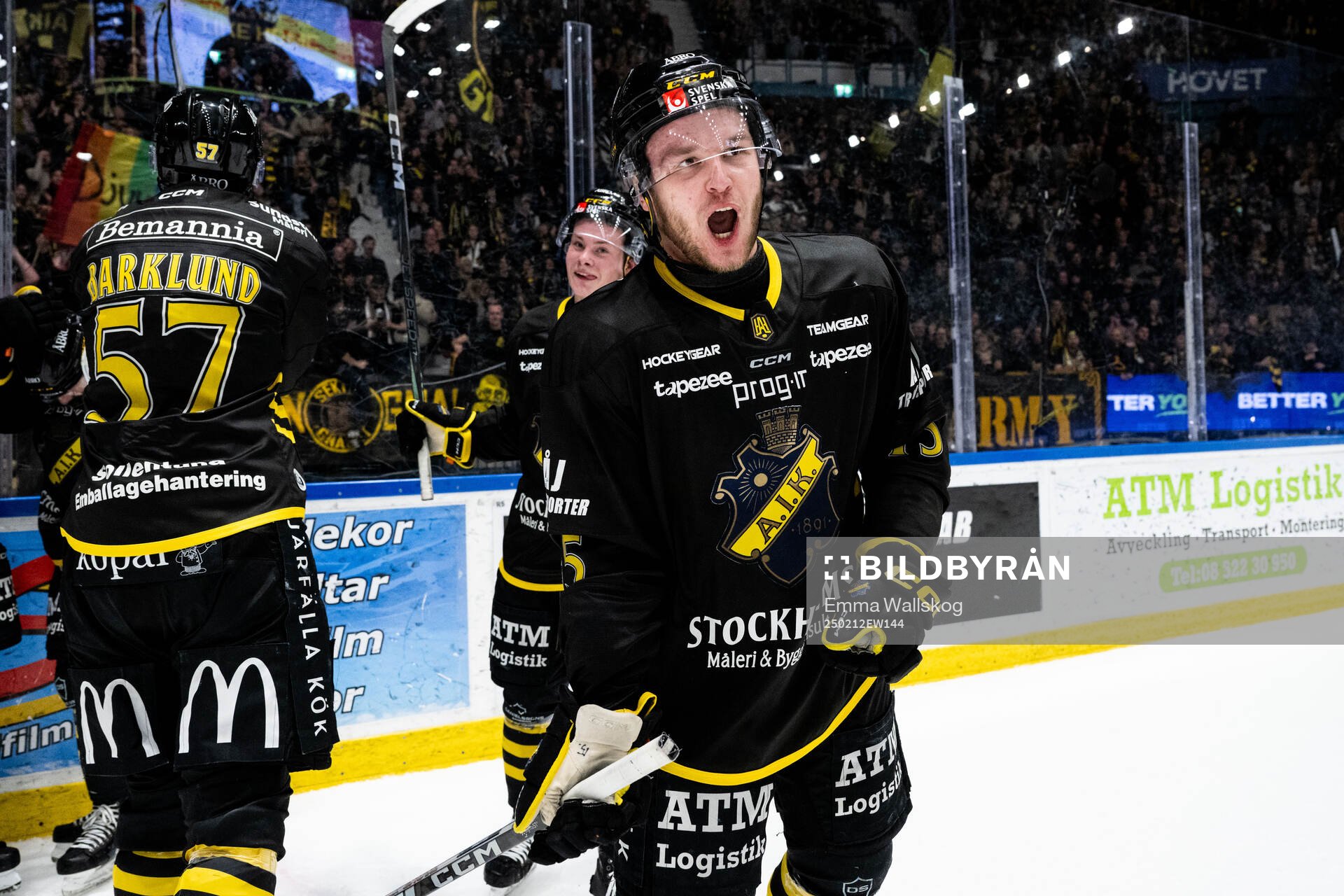 AIKs Theo Hårdstam jublar