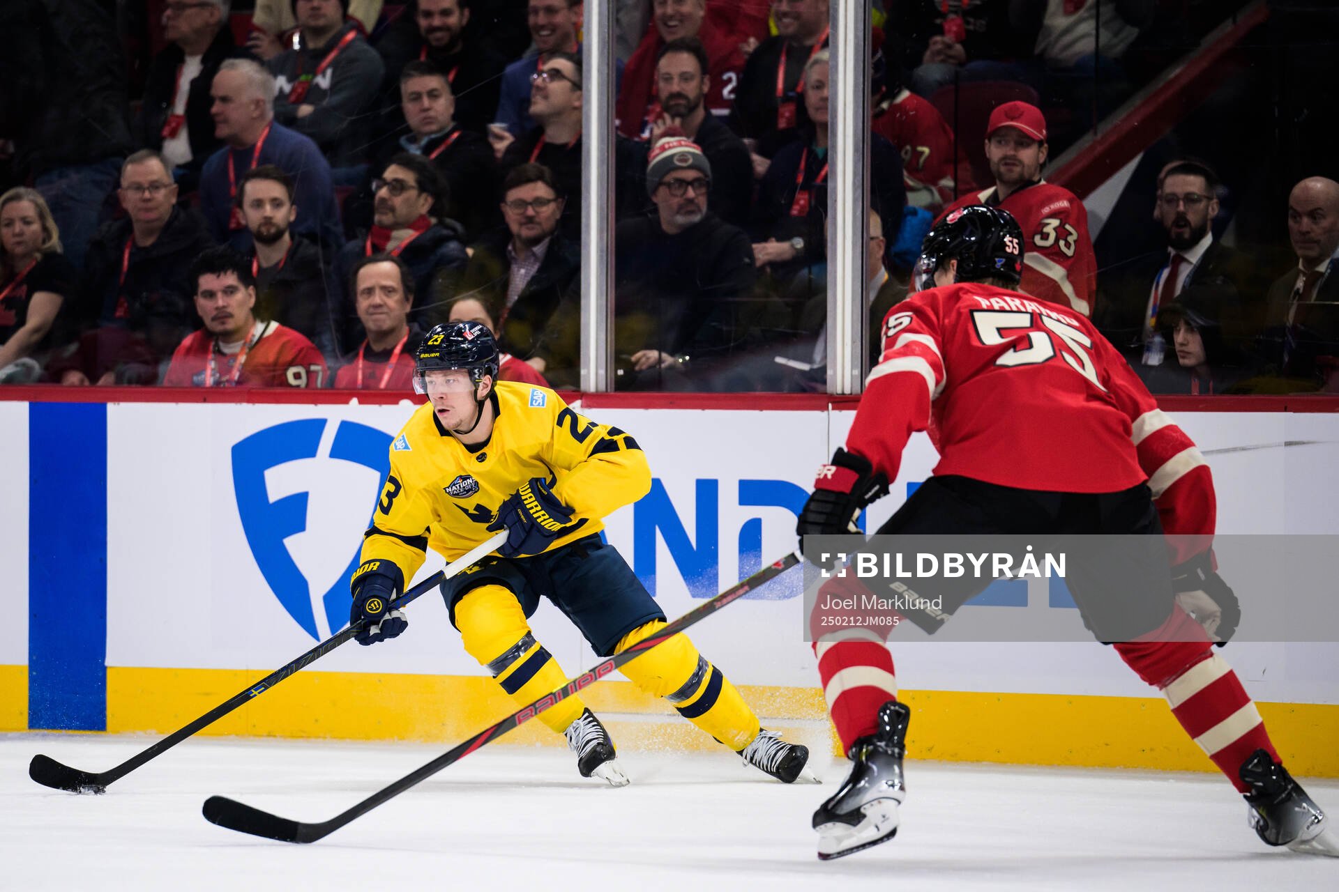 Lucas Raymond of Sweden and Colton Parayko of Canada