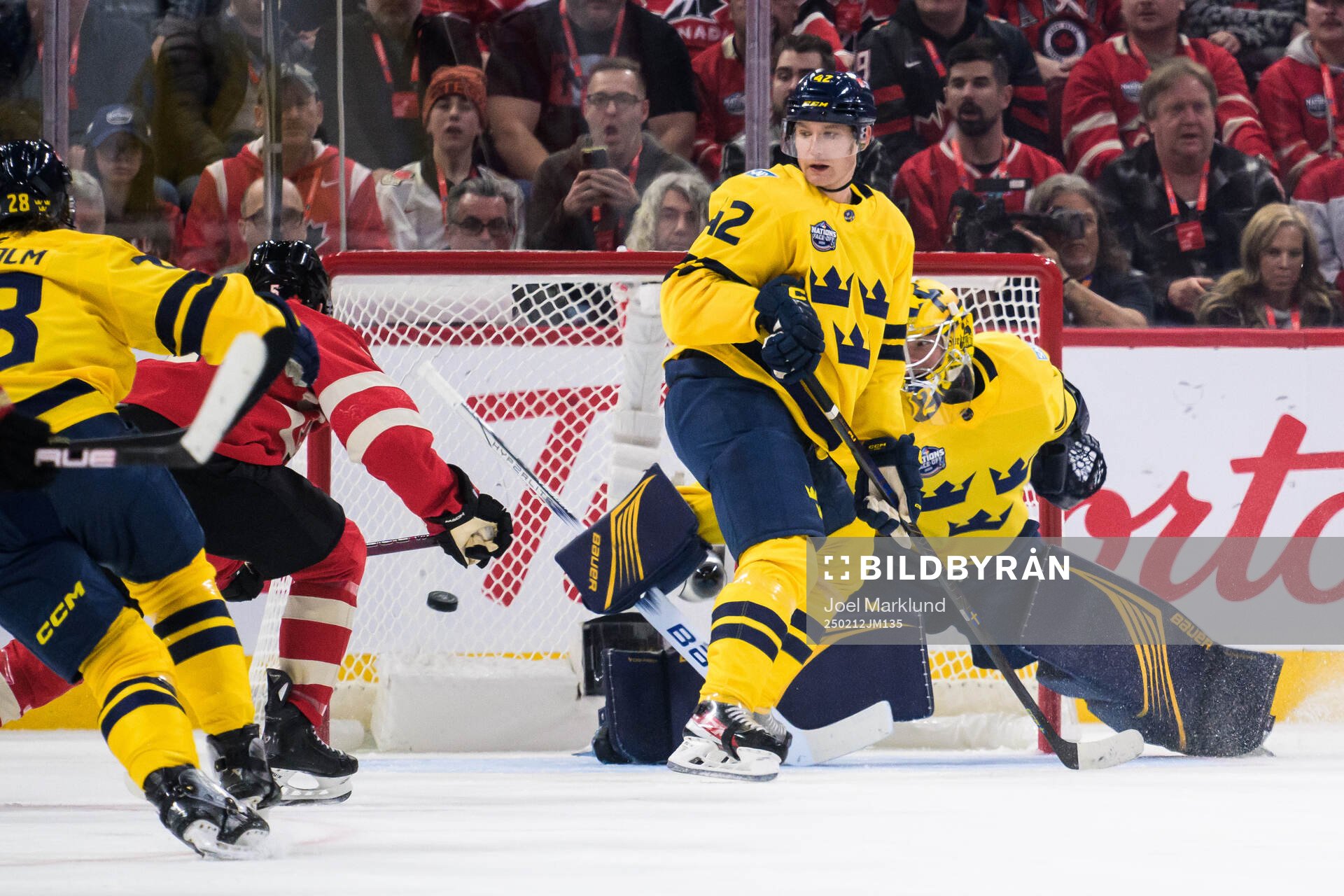 Devon Toews of Canada challenges Gustav Forsling and