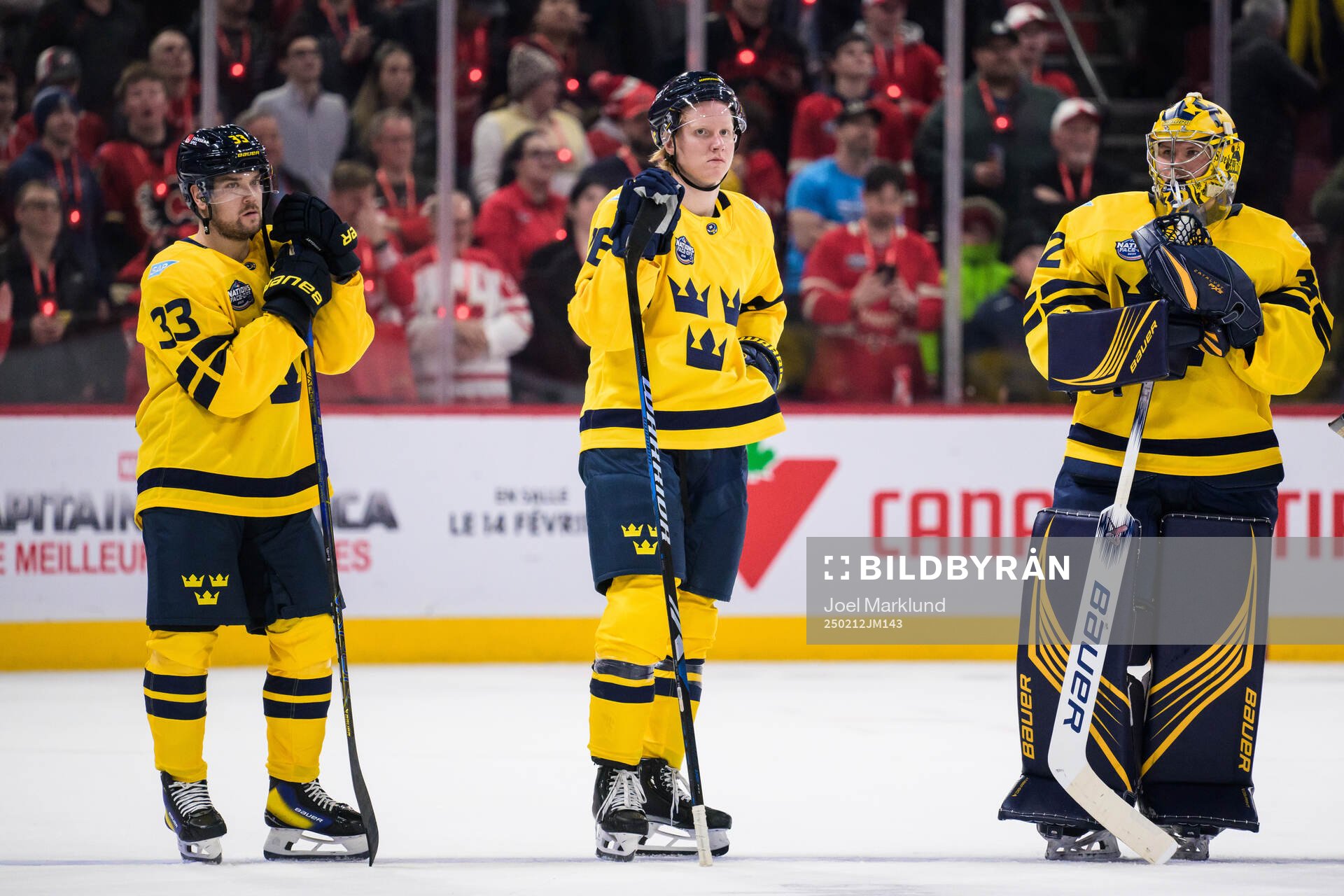 Viktor Arvidsson, Rasmus Dahlin and goaltender Filip