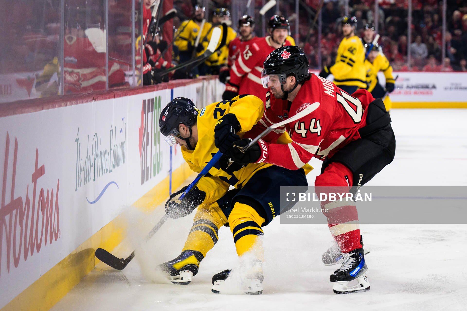 Viktor Arvidsson of Sweden and Josh Morrissey of Canada
