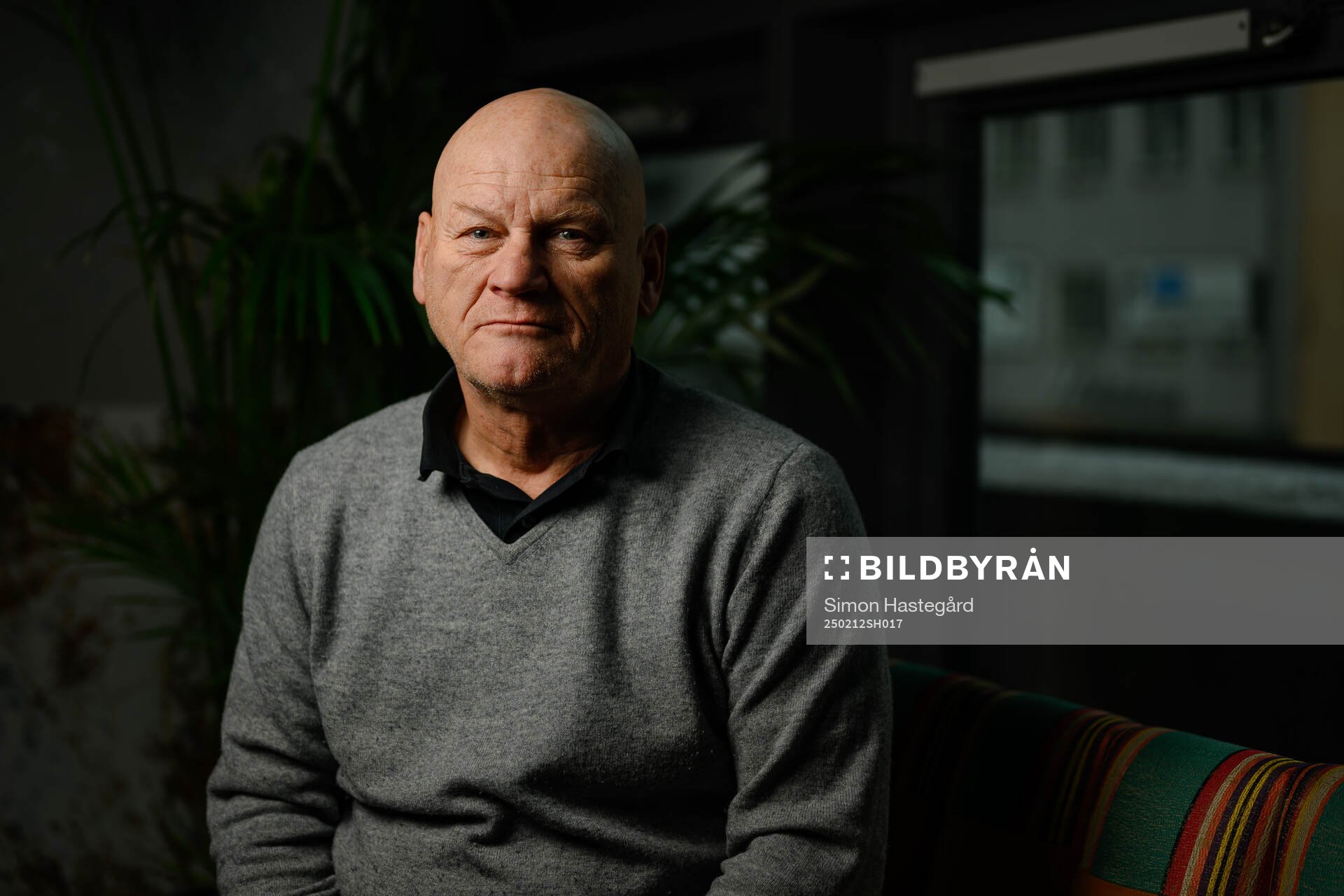 Håkan Södergren, Expert Ishockey