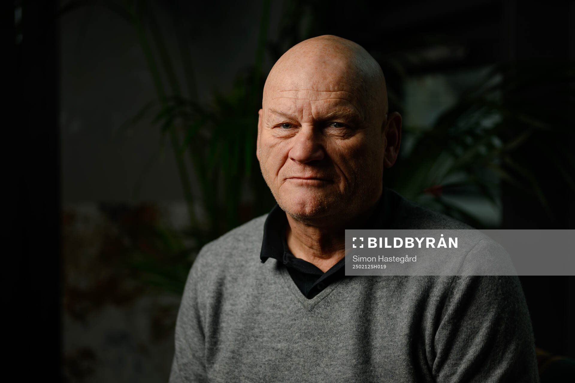 Håkan Södergren, Expert Ishockey
