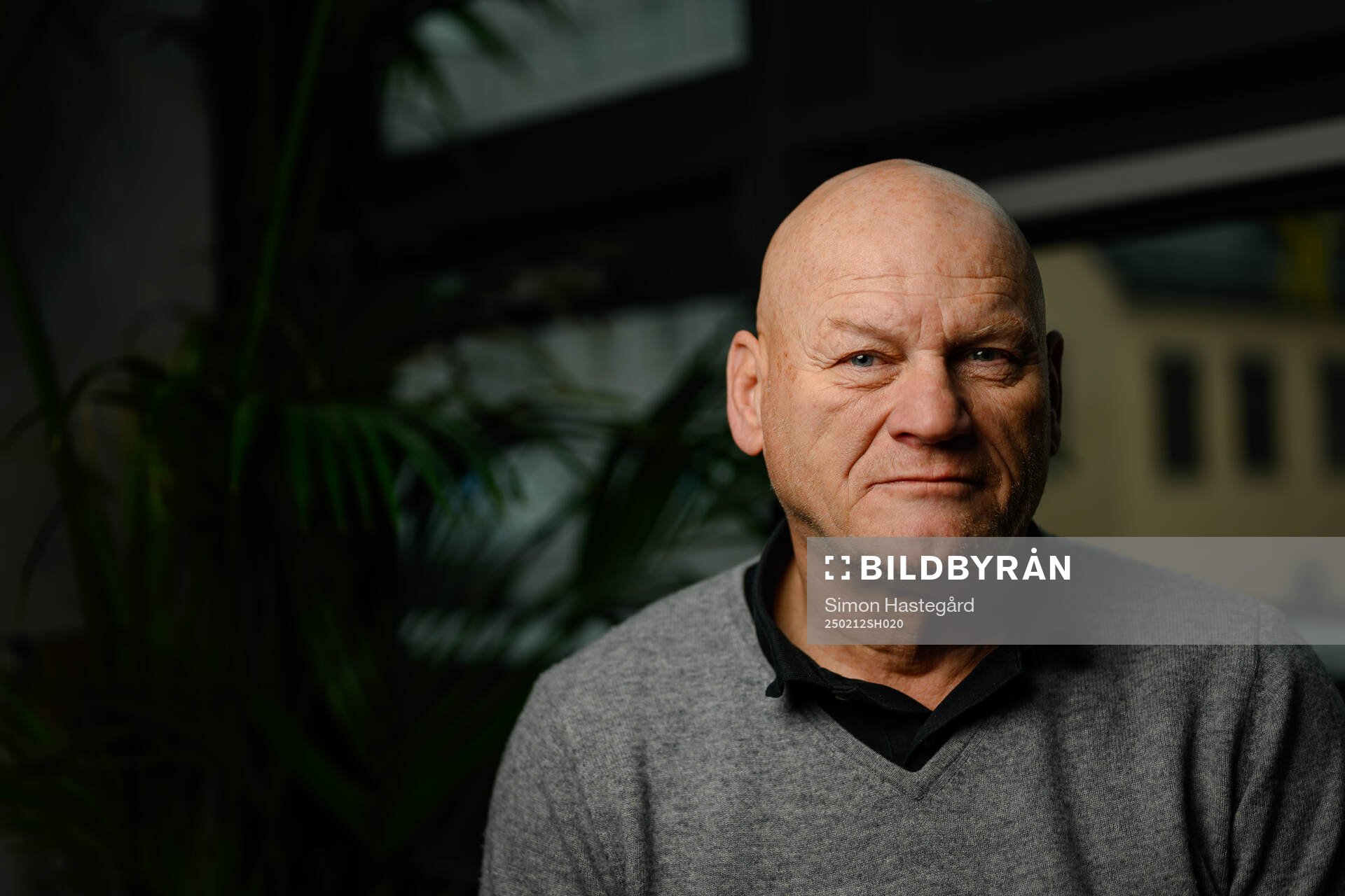 Håkan Södergren, Expert Ishockey