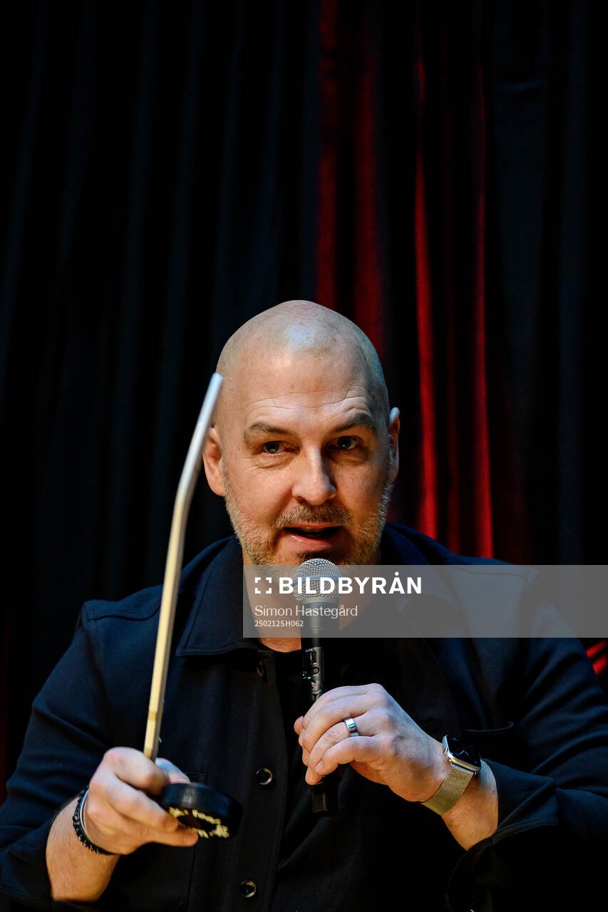 Erik Granqvist, Expert Ishockey