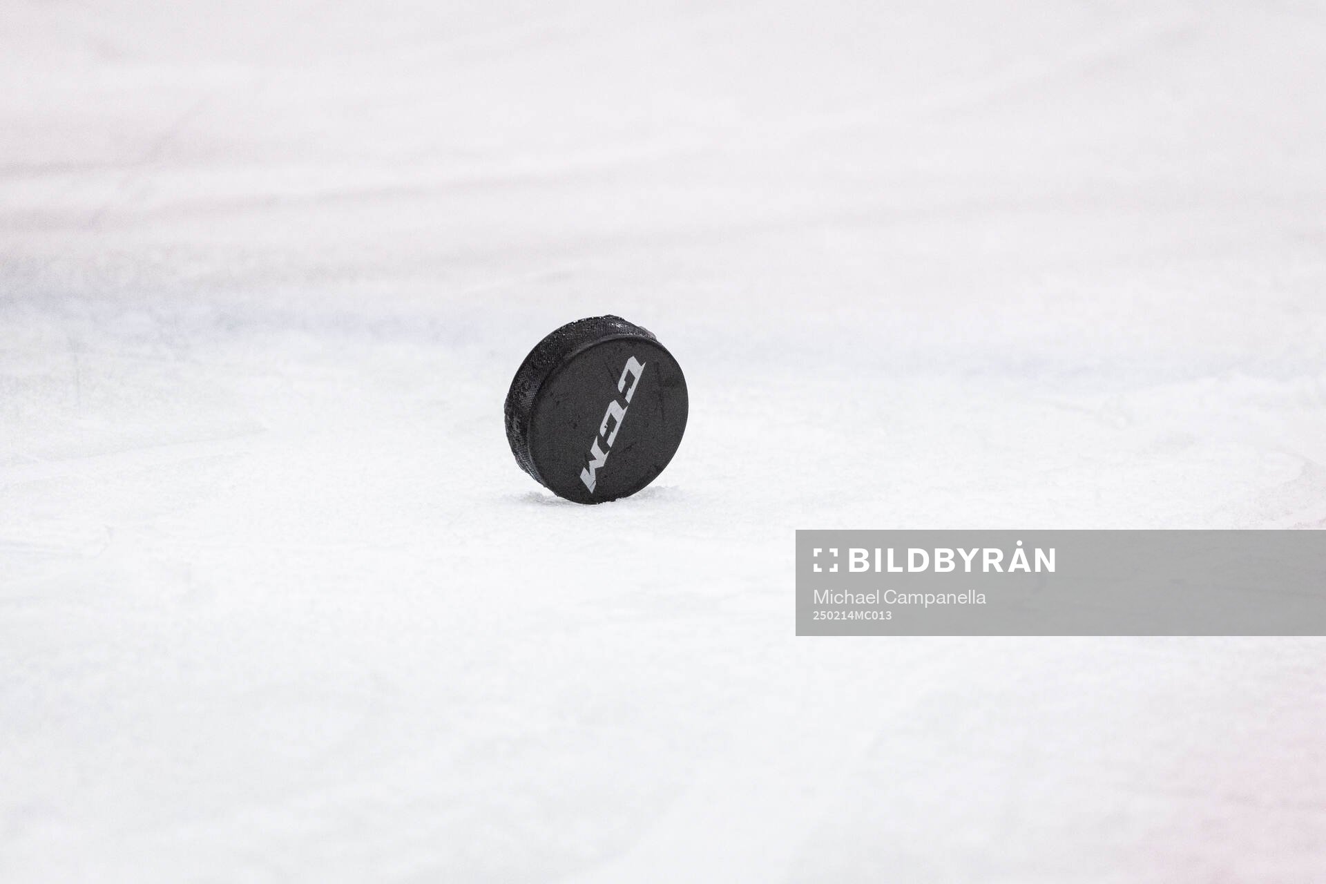 Hockey puck