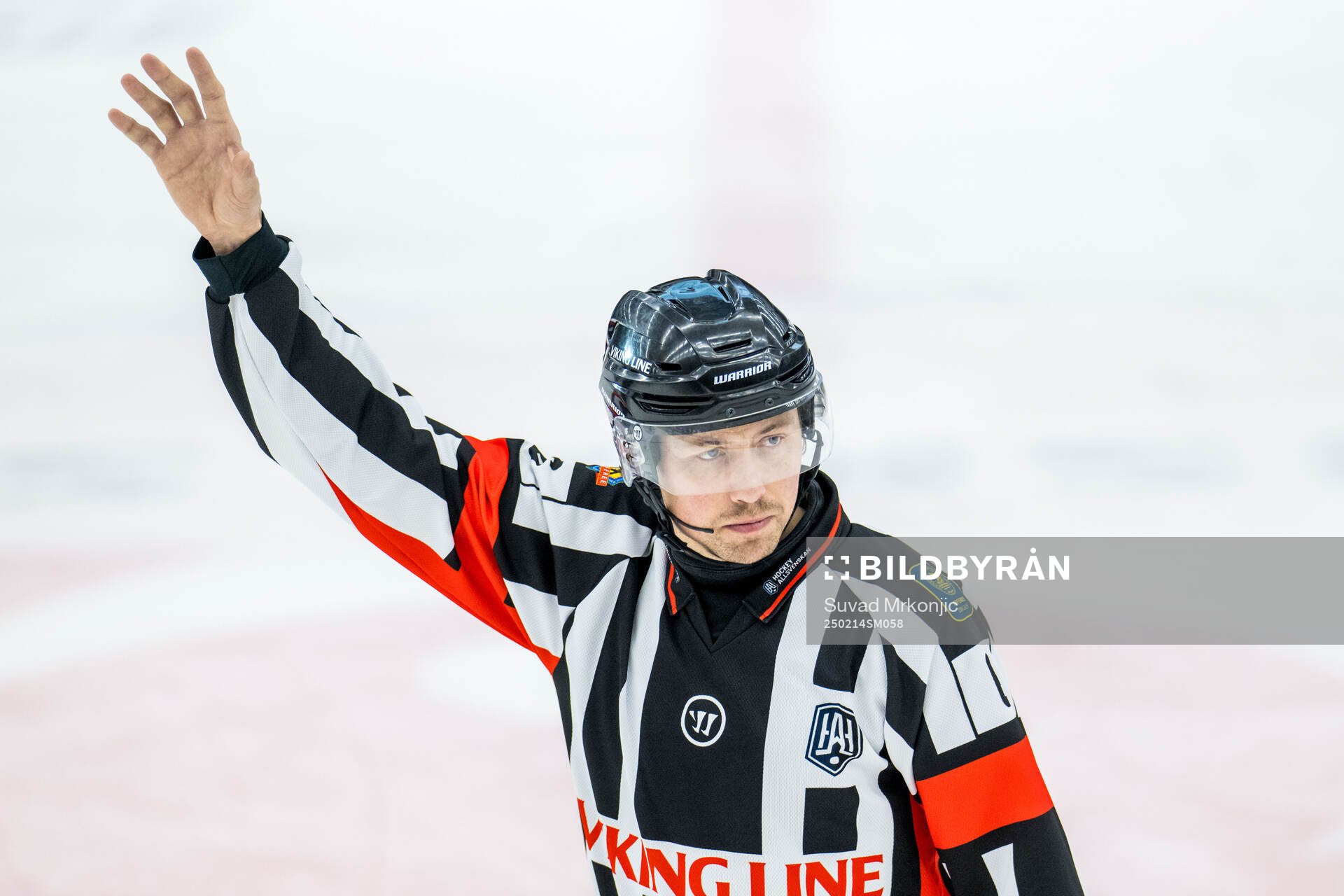 Domare Robin Jacobsson