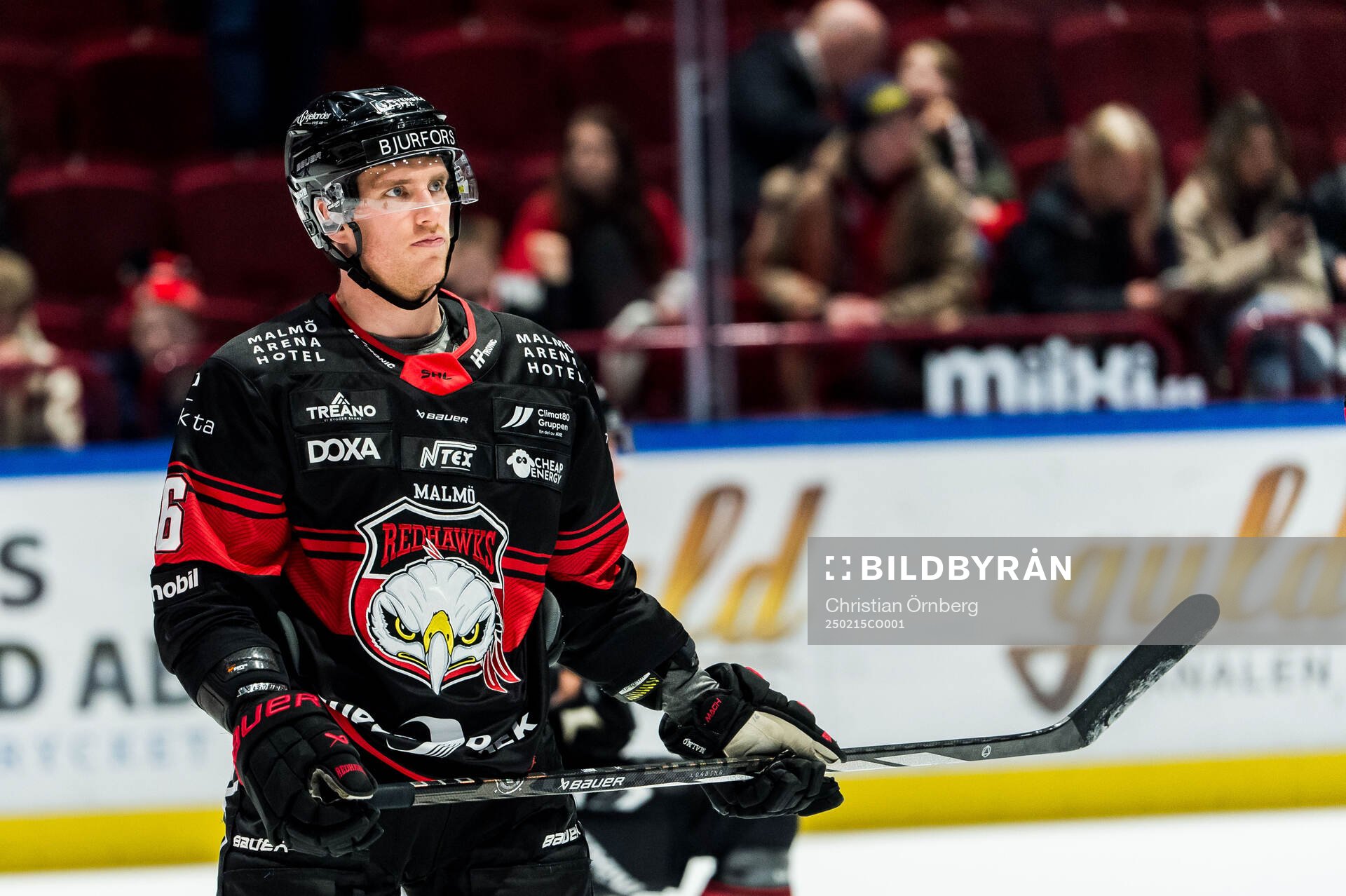 Malmö Redhawks Matias Lassen