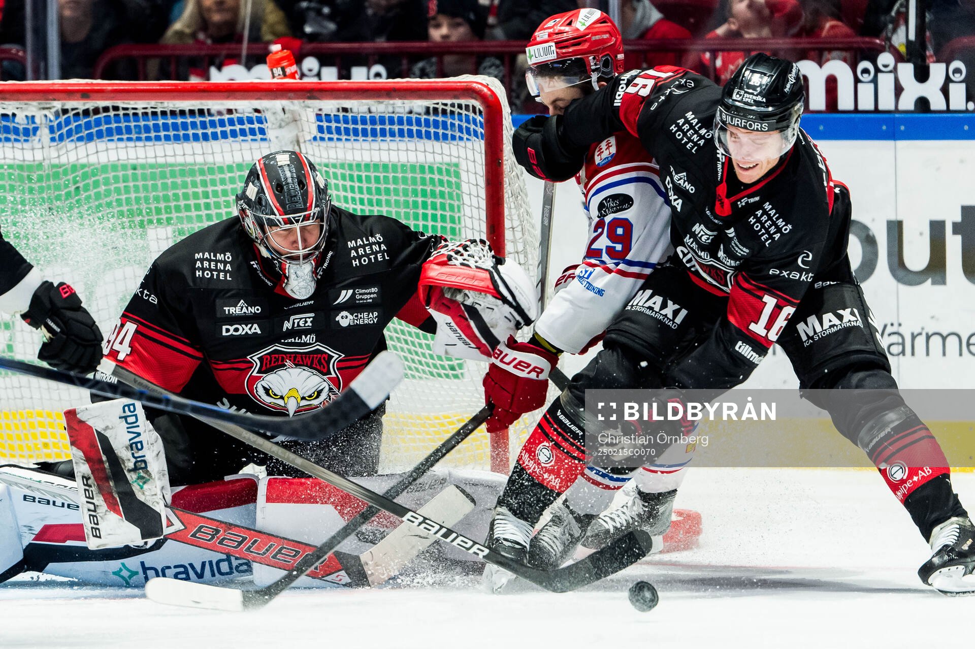 Timrås Filip Hållander och Malmö Redhawks målvakt Marek