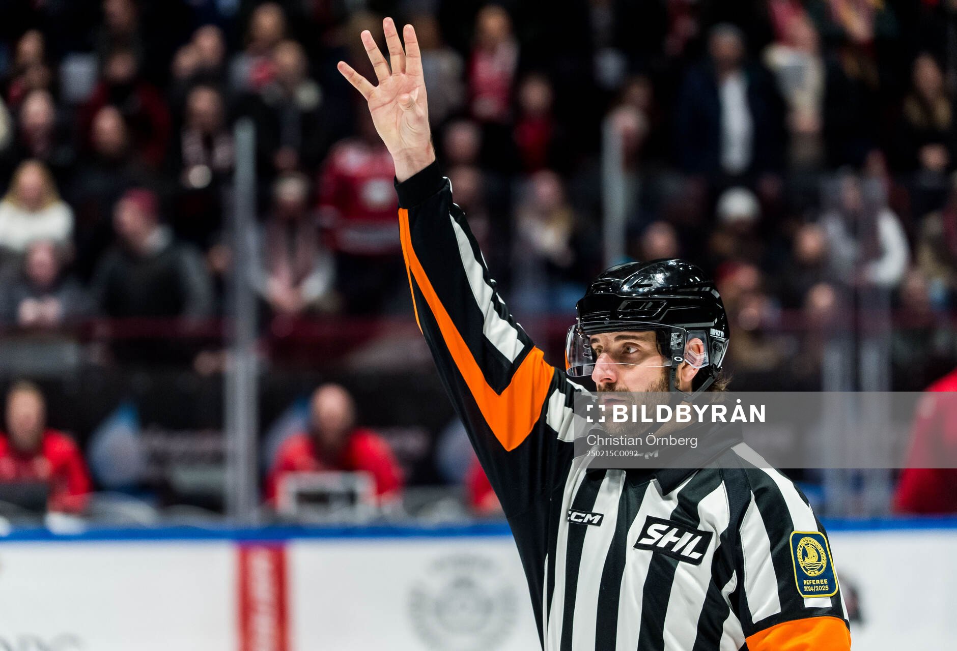 Domare Mikael Sjöqvist