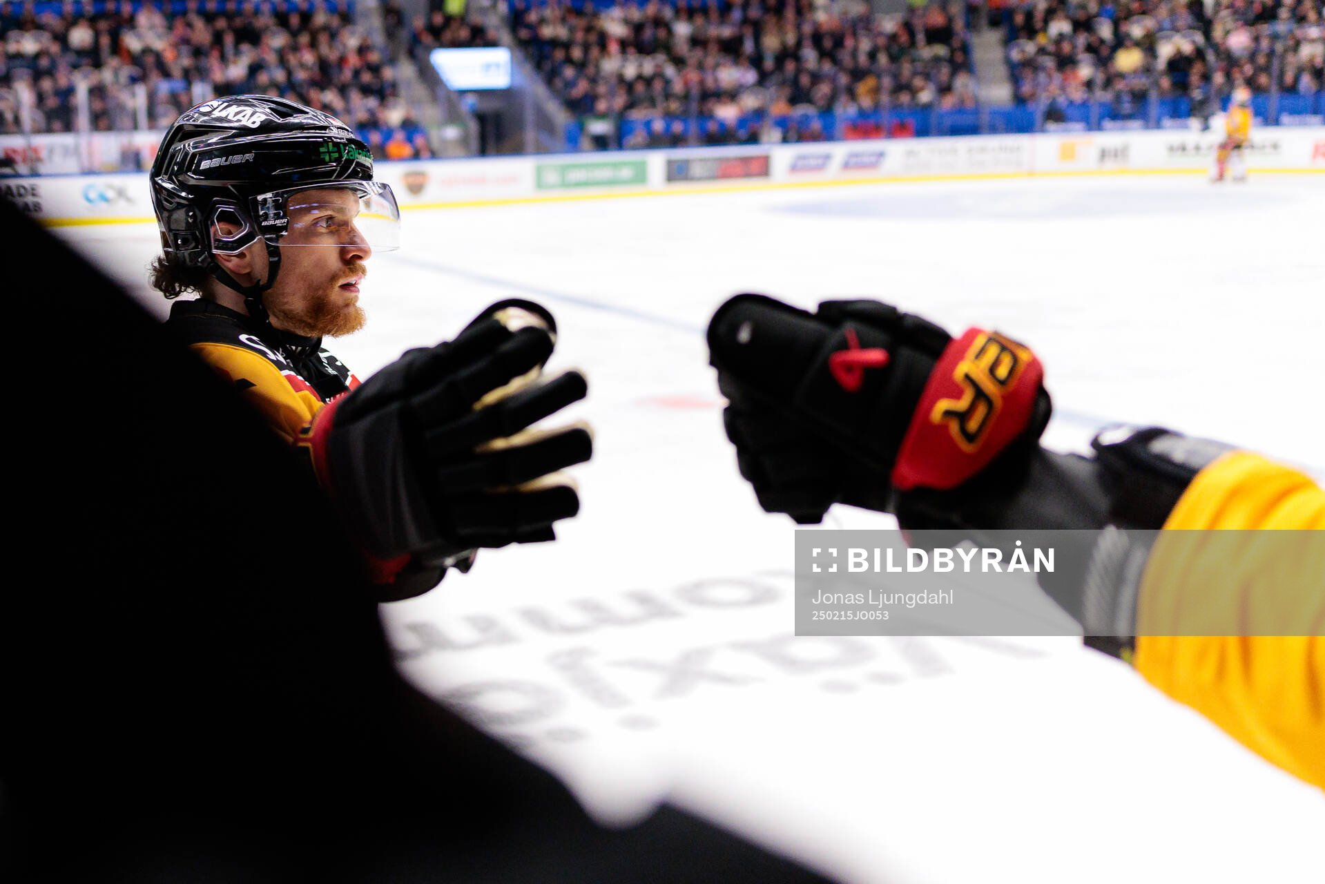 Luleås Brendan Shinnimin jublar