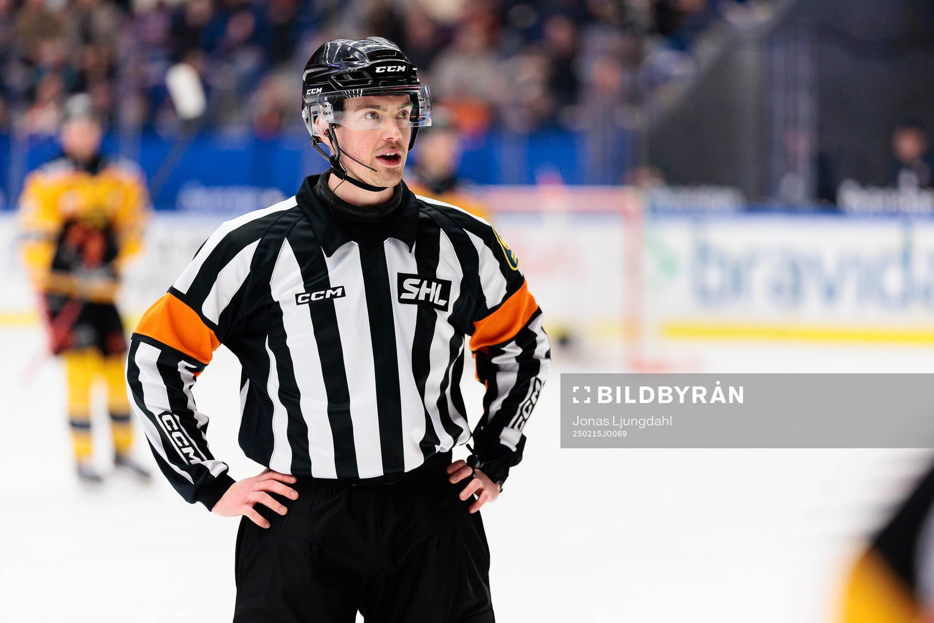 Domare Filip Eriksson