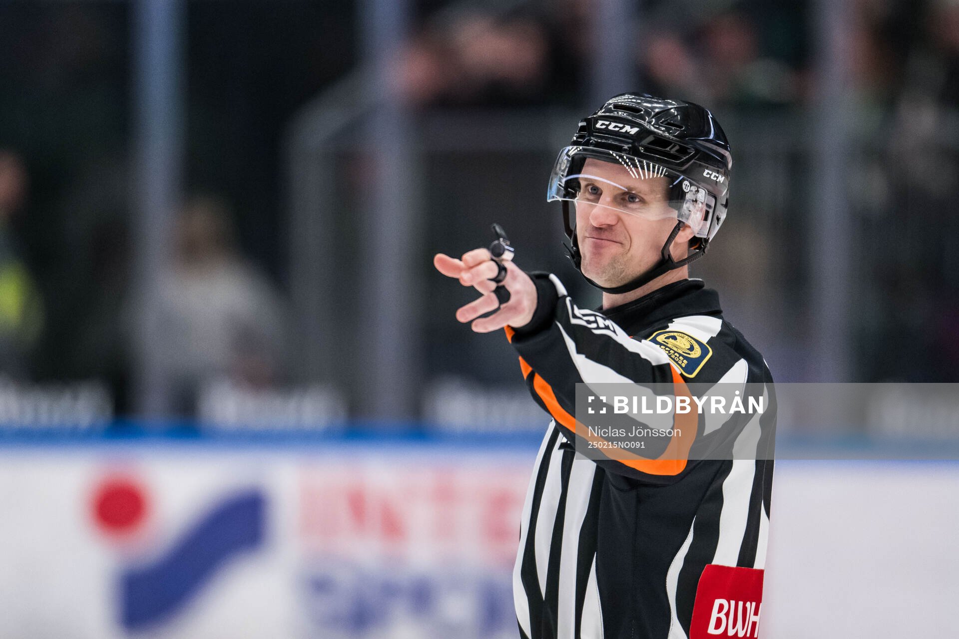 Domare Stefan Leijonklo
