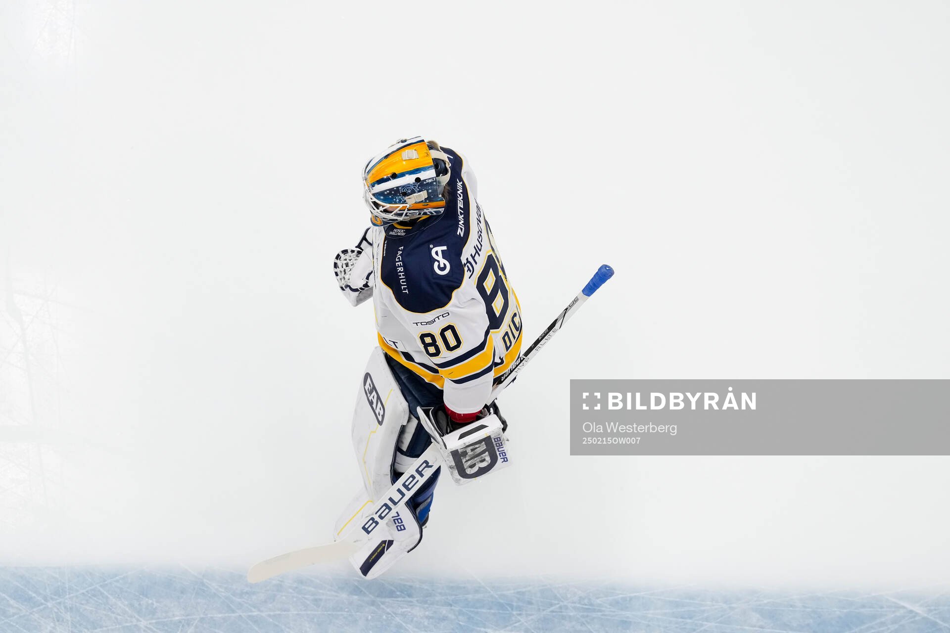 HV71s målvakt Frederik Dichow