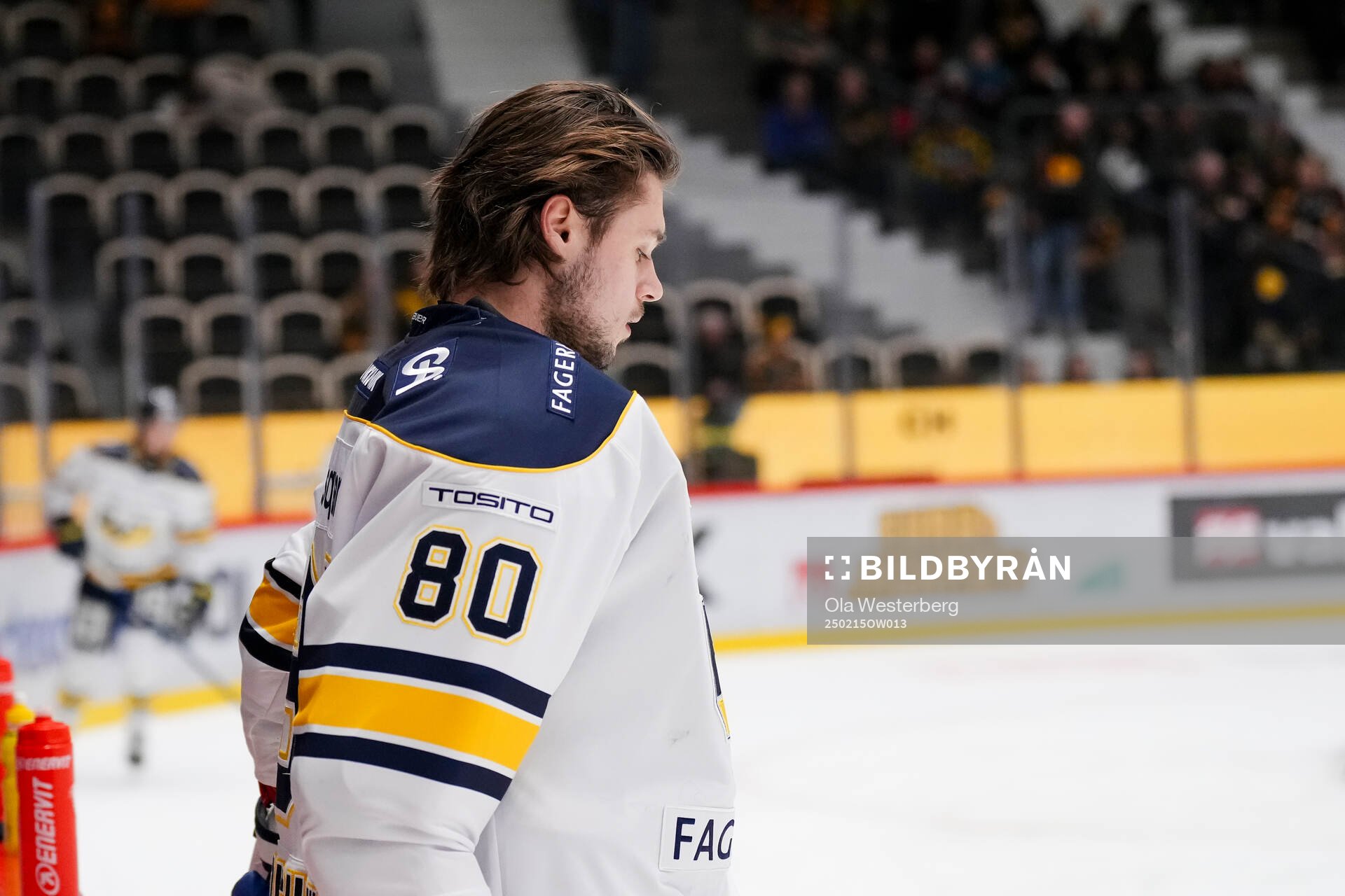 HV71s målvakt Frederik Dichow