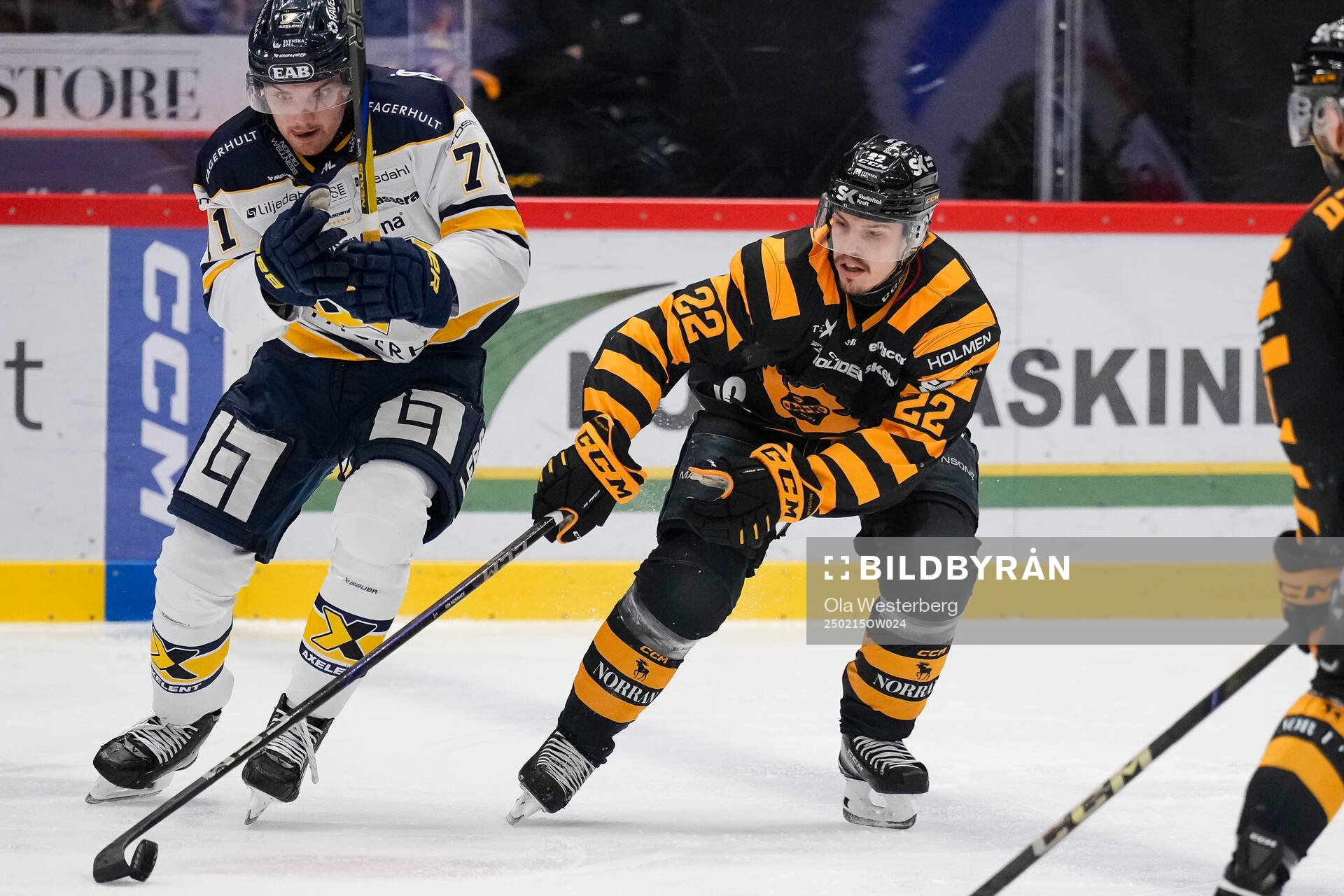 HV71s William Ignberg Nilsson och Skellefteås Jonathan